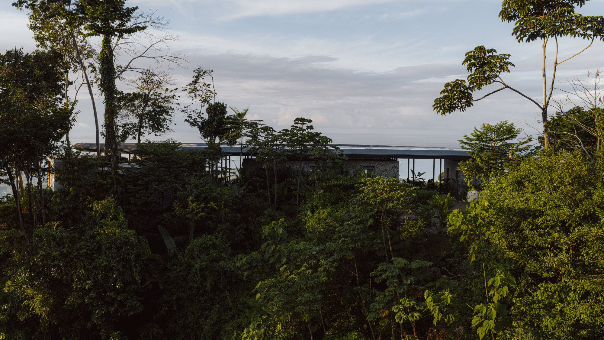Slender horizontal structure on columns rising above jungle treeline at dusk