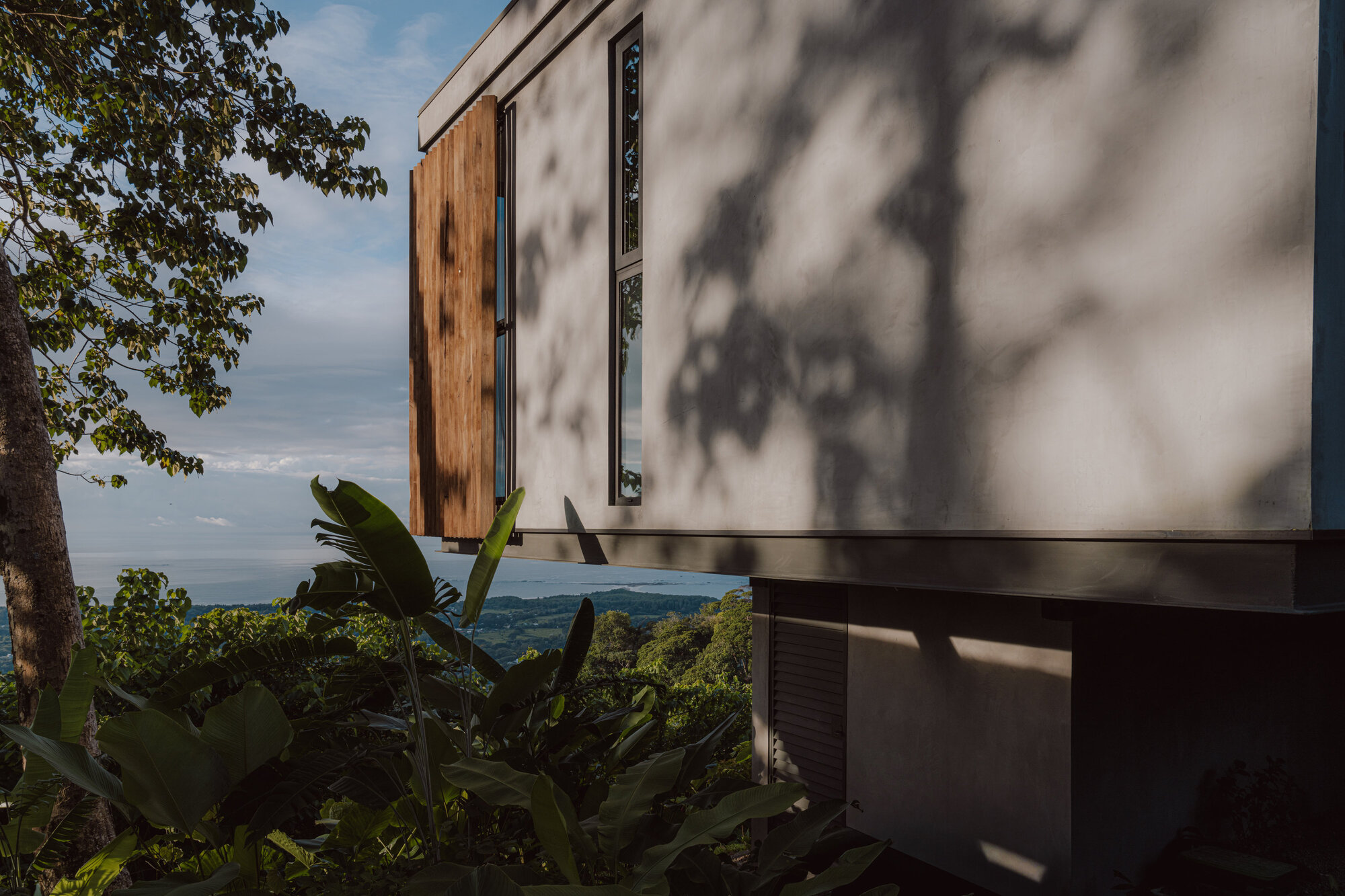 Exterior facade with timber cladding and rendered walls casting tree shadows in afternoon light