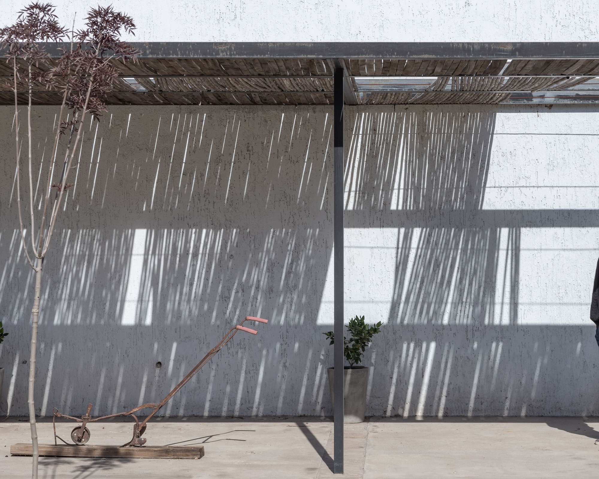Overhead timber trellis casting striped shadows across a rendered courtyard wall with young trees
