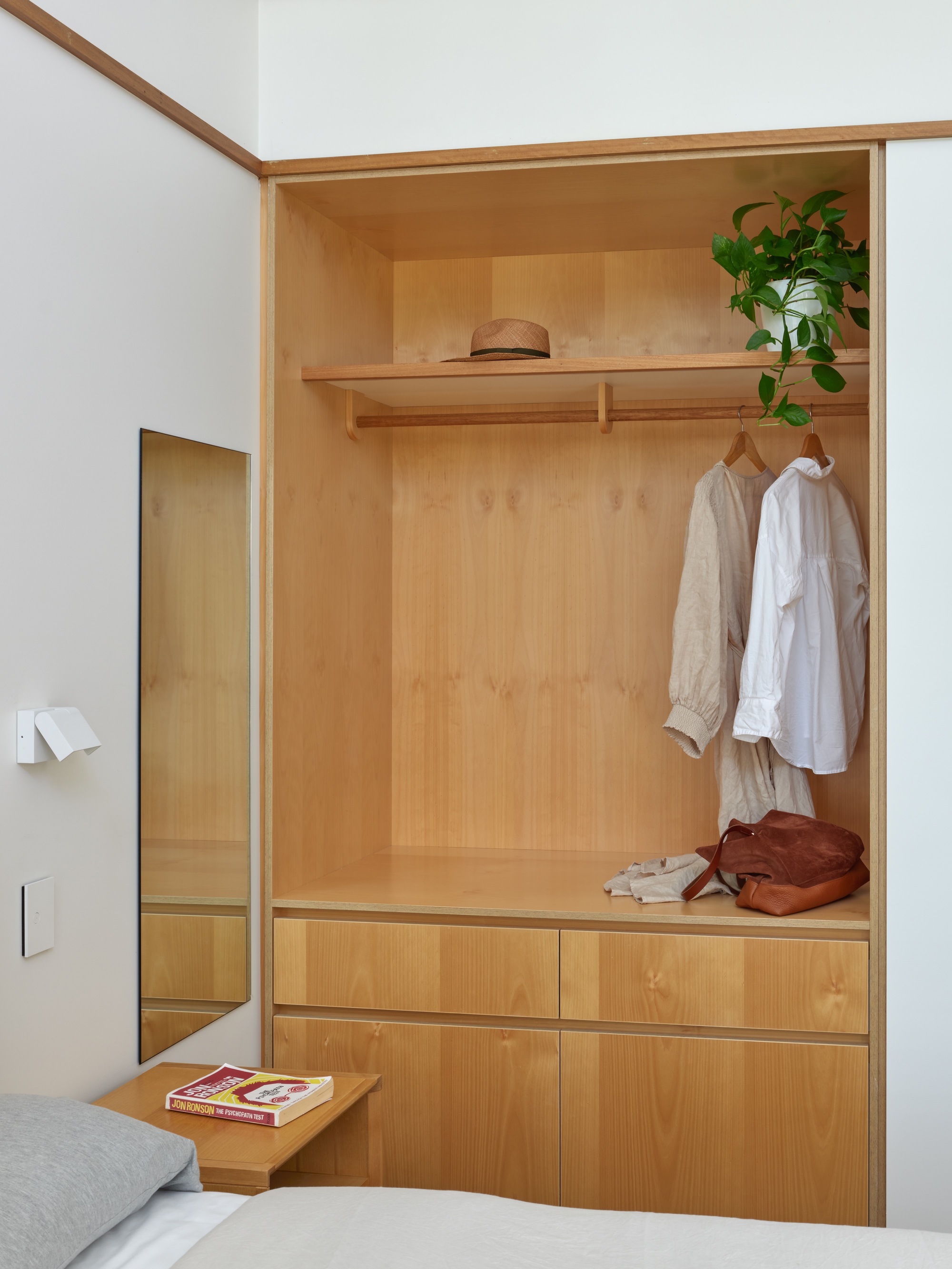 Plywood-lined closet alcove with hanging rail and shelf beside a mirrored door
