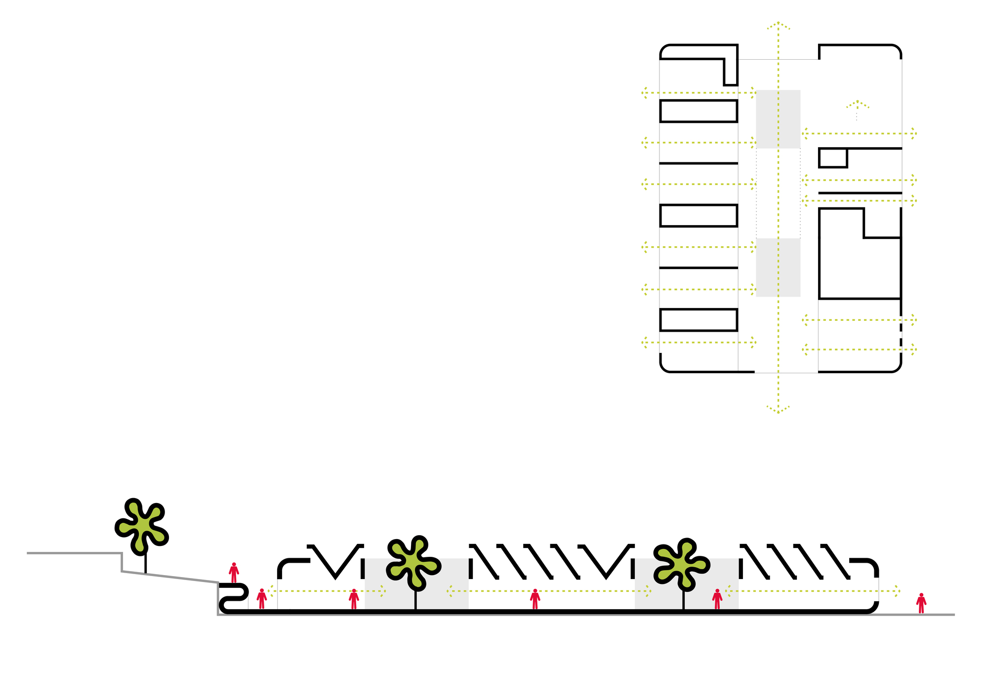 Section drawing showing natural ventilation flow through planted roof openings with trees