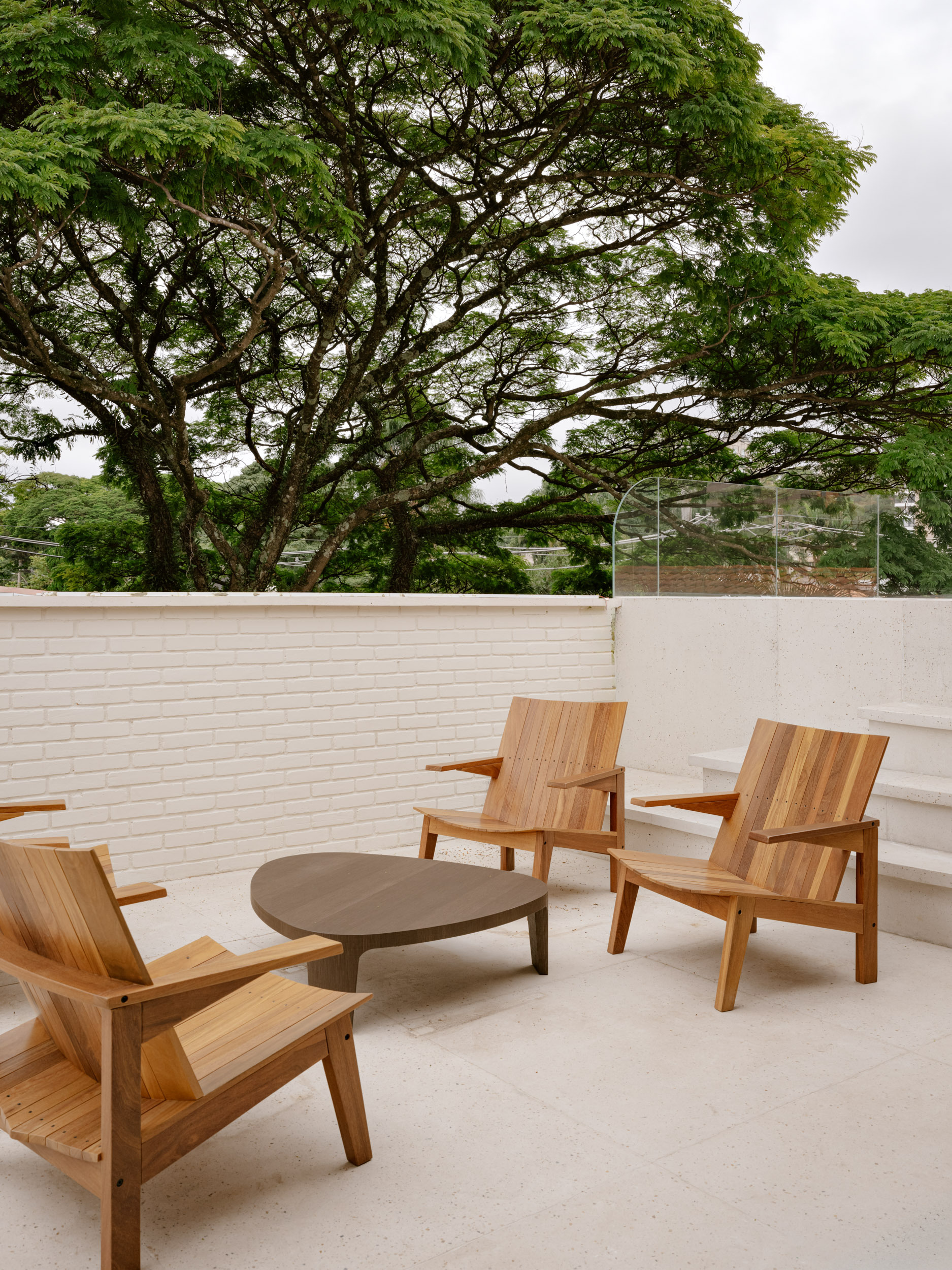 Rooftop terrace with timber lounge chairs and low table beneath a spreading canopy tree