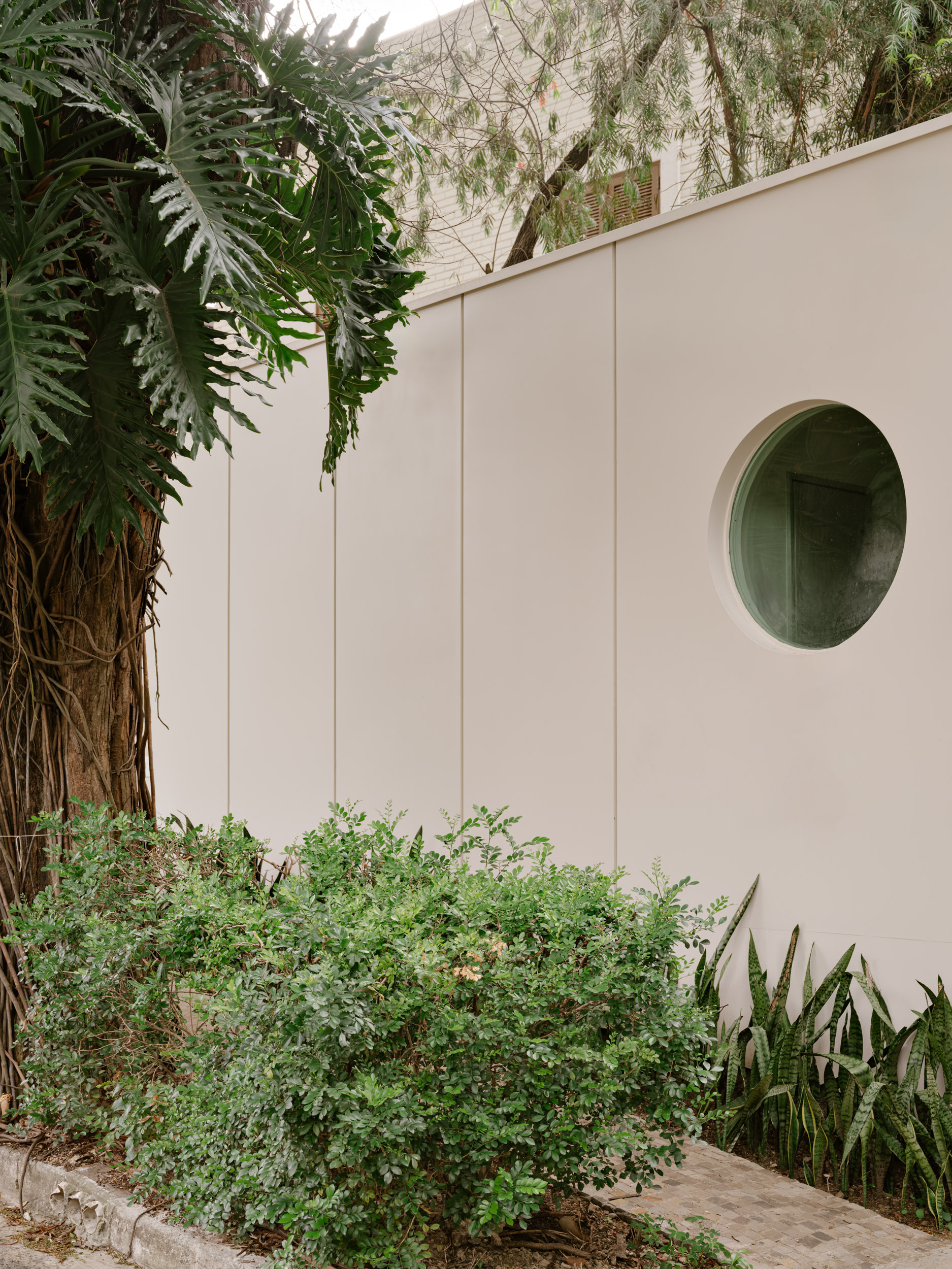 Pale plaster courtyard wall with circular opening framed by tropical plants and overhanging foliage