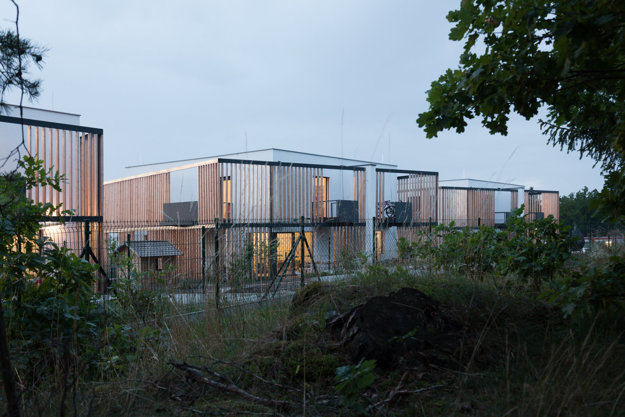Clustered housing volumes embed into the forest edge, balancing density with privacy through a unified architectural language.
