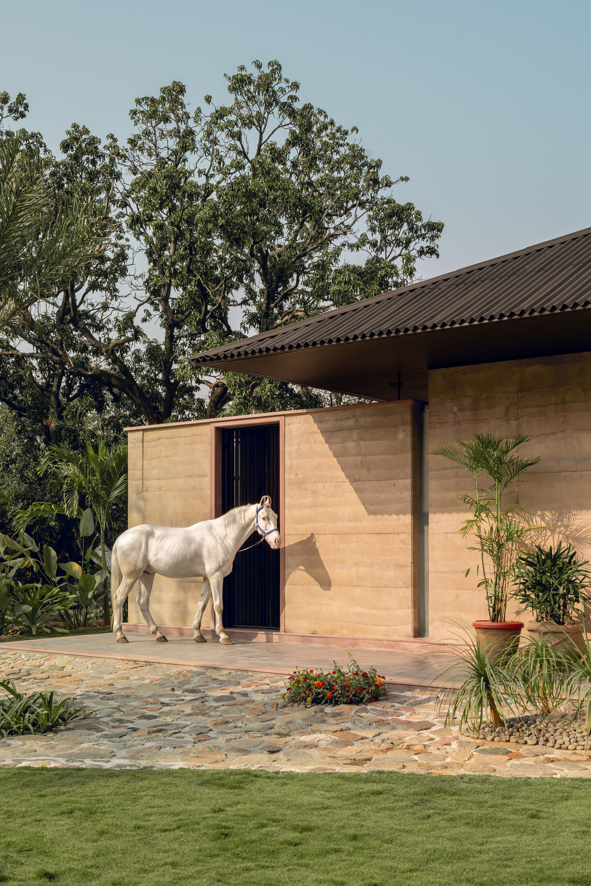 Angled rammed earth entrance wall with vertical slat door and a white horse standing on flagstone paving