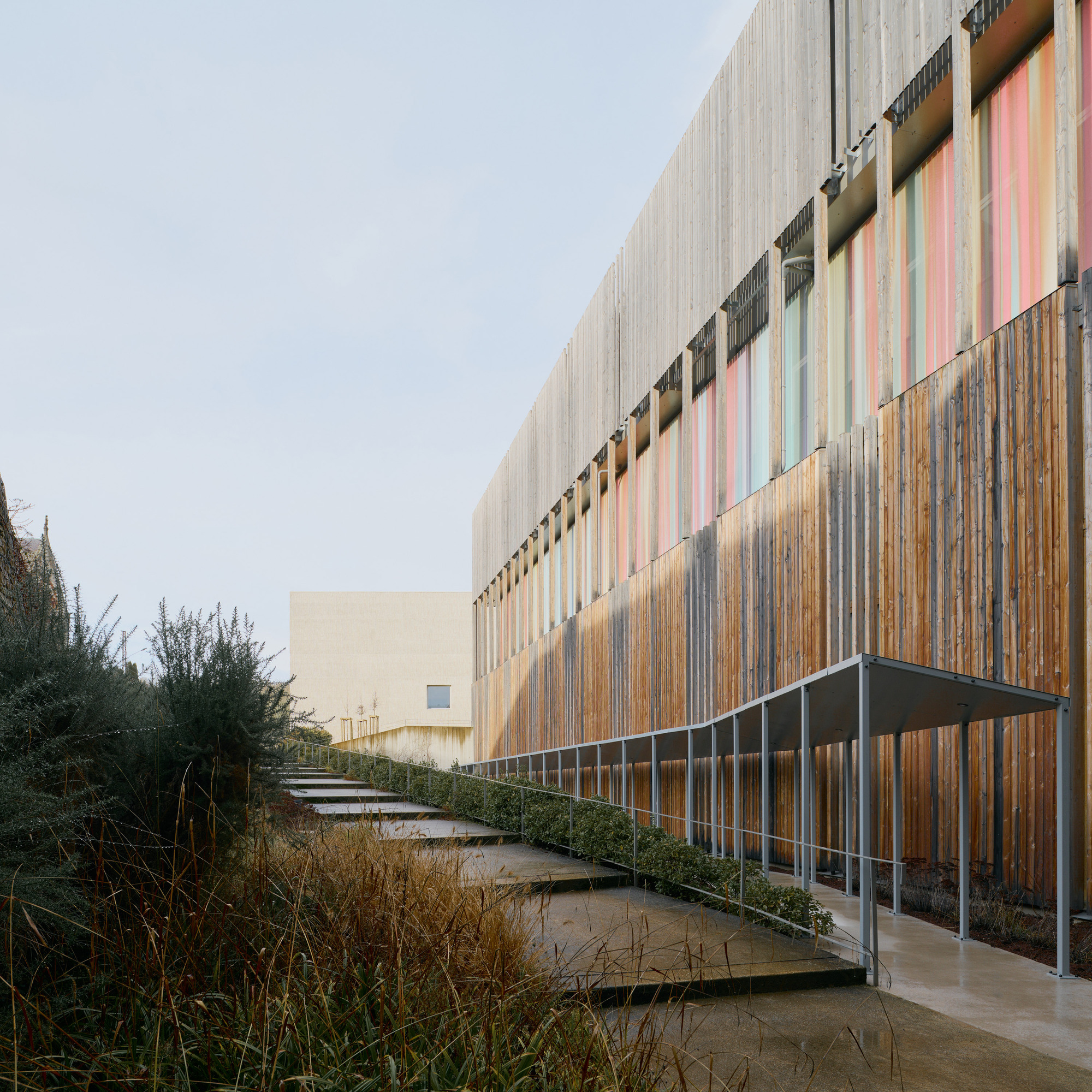 Exterior pathway with stone steps alongside weathered timber and colorful vertical panel facade with planted grasses