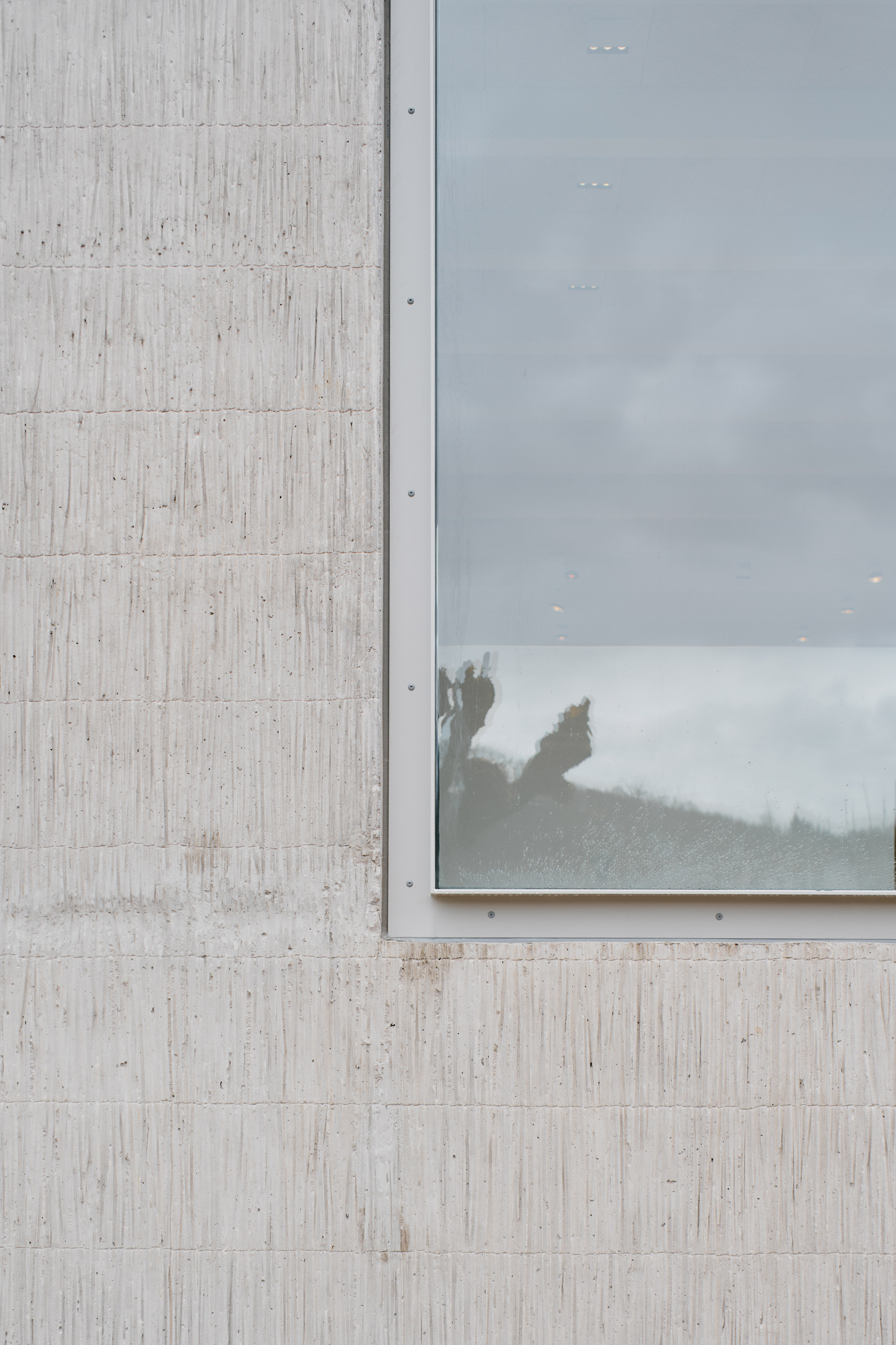 Detail of board-formed concrete wall meeting a metal-framed window reflecting trees and overcast sky