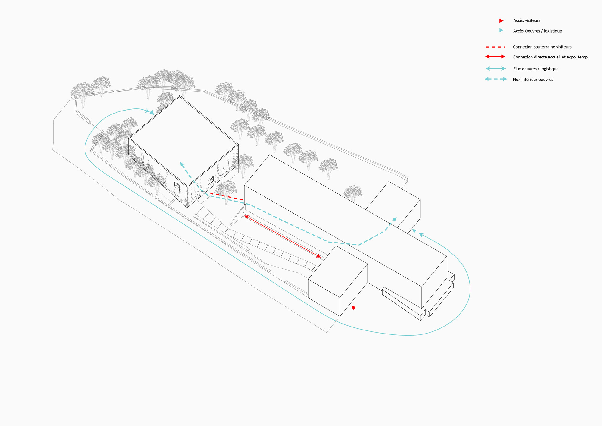 Axonometric diagram showing site circulation and building connections with trees indicated in plan