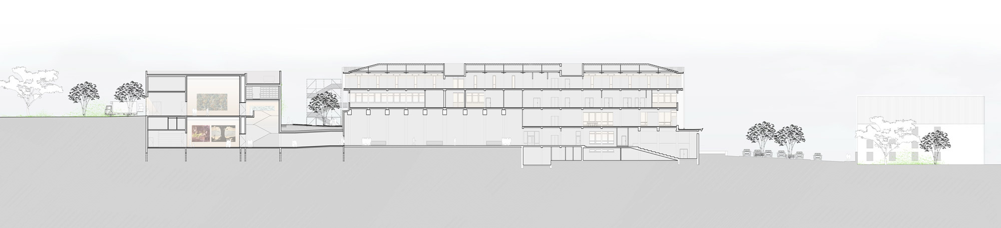 Section drawing showing the horizontal building volume with clerestory windows amid trees and sloping terrain