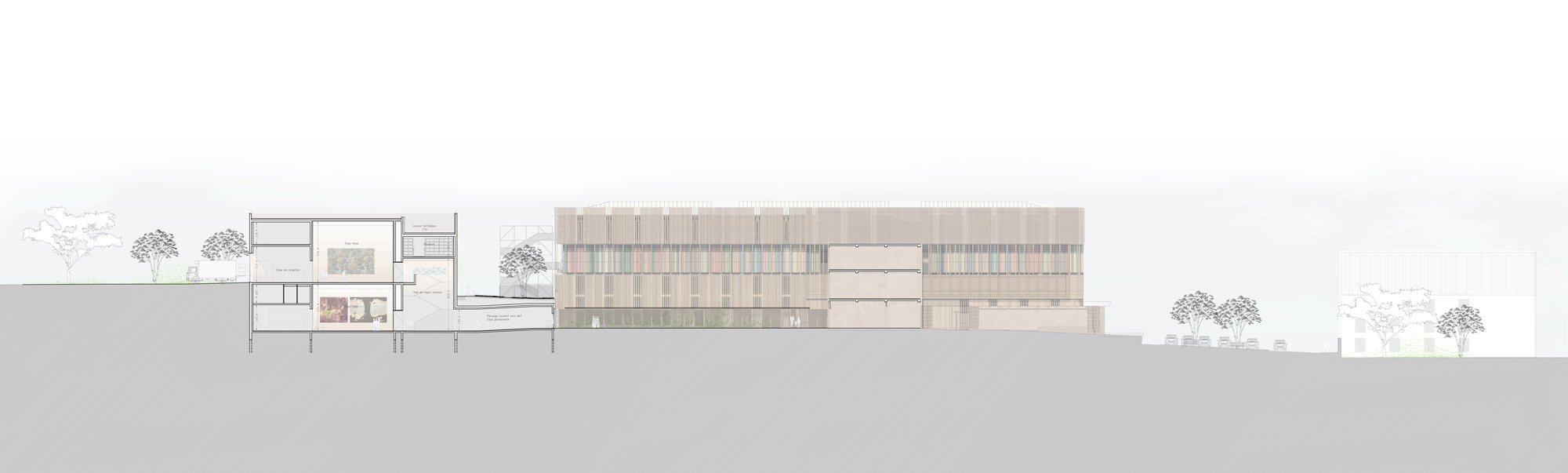 Section drawing revealing interior floor levels and the striped facade composition with adjacent structures