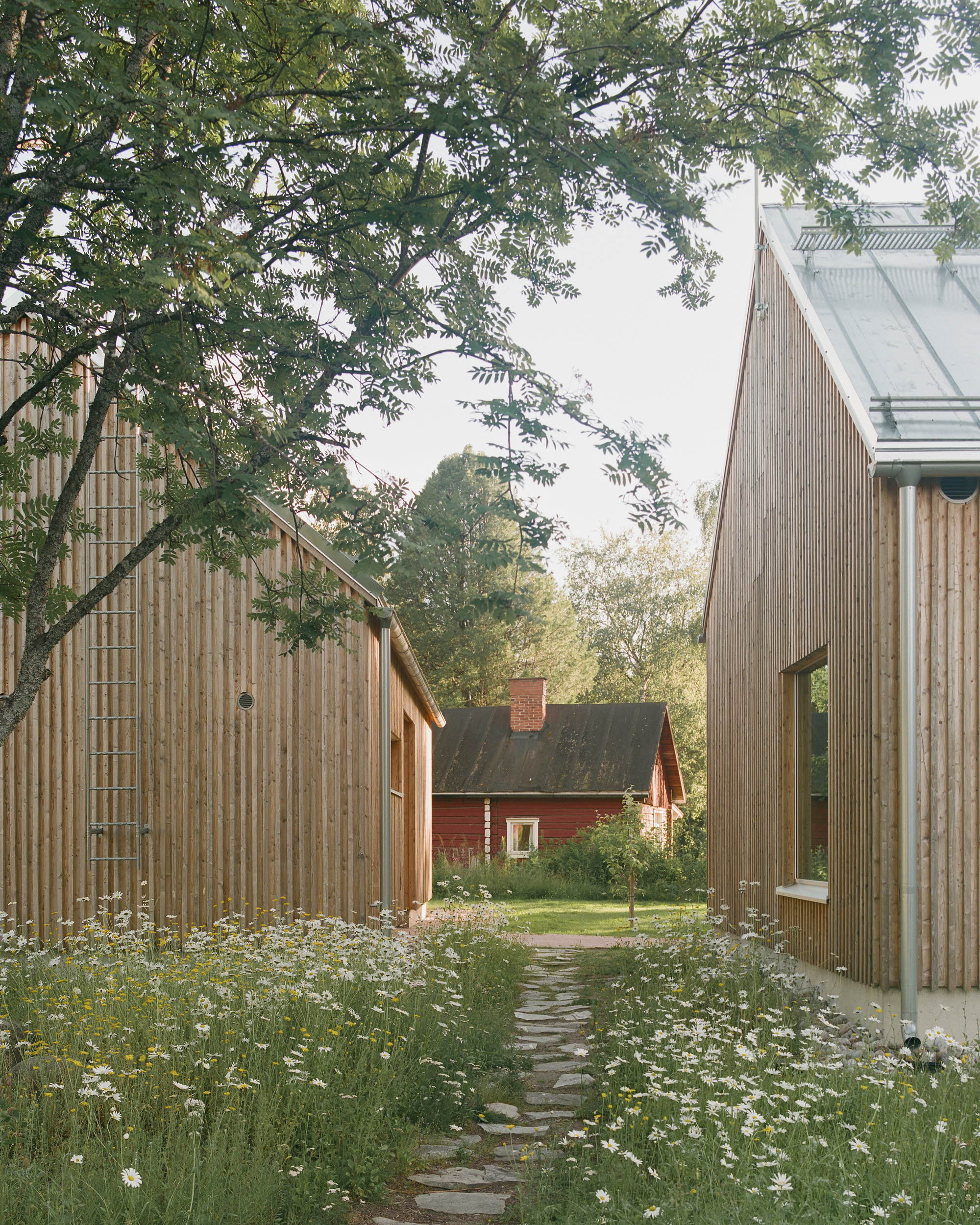 Stone path through wildflower meadow leading between timber volumes toward a red barn in the distance