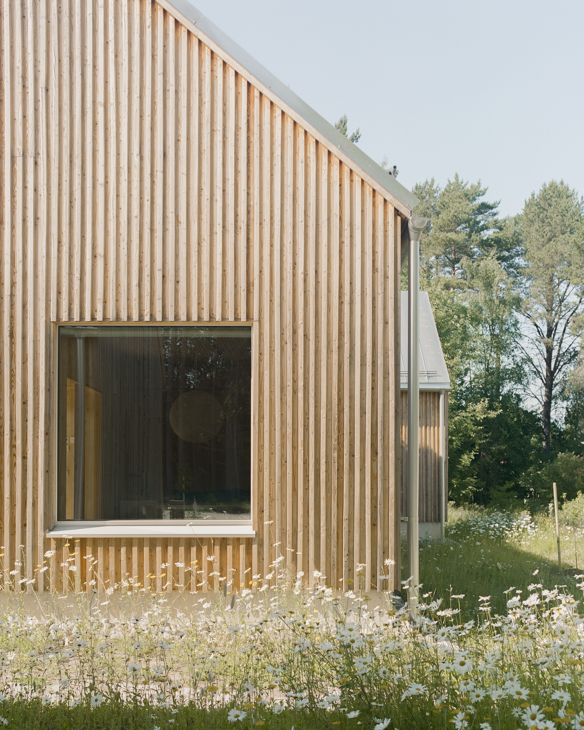 Vertical timber slat facade with corner window set among wildflowers and tall grasses