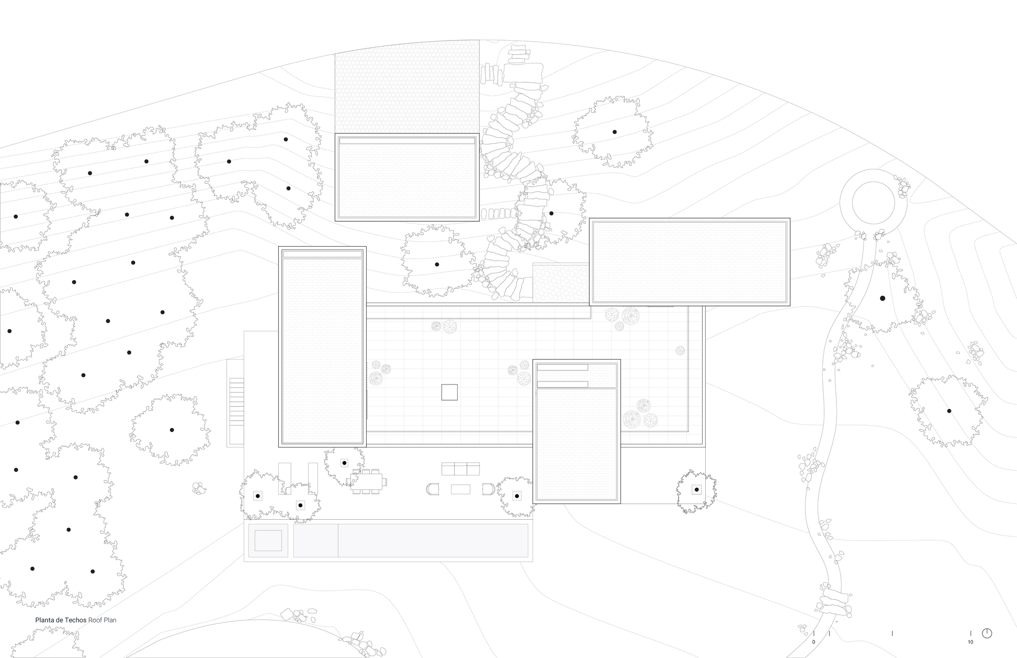 Roof plan drawing showing flat roof volumes positioned between tree canopies