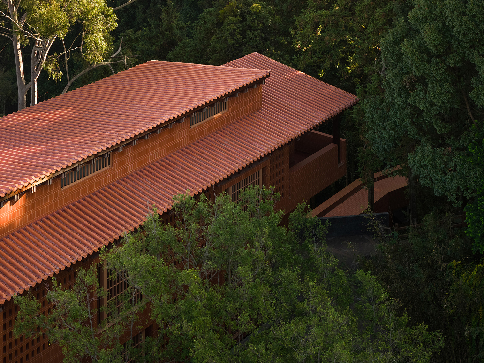 Oblique view of the corrugated clay tile roofscape emerging from dense forest canopy