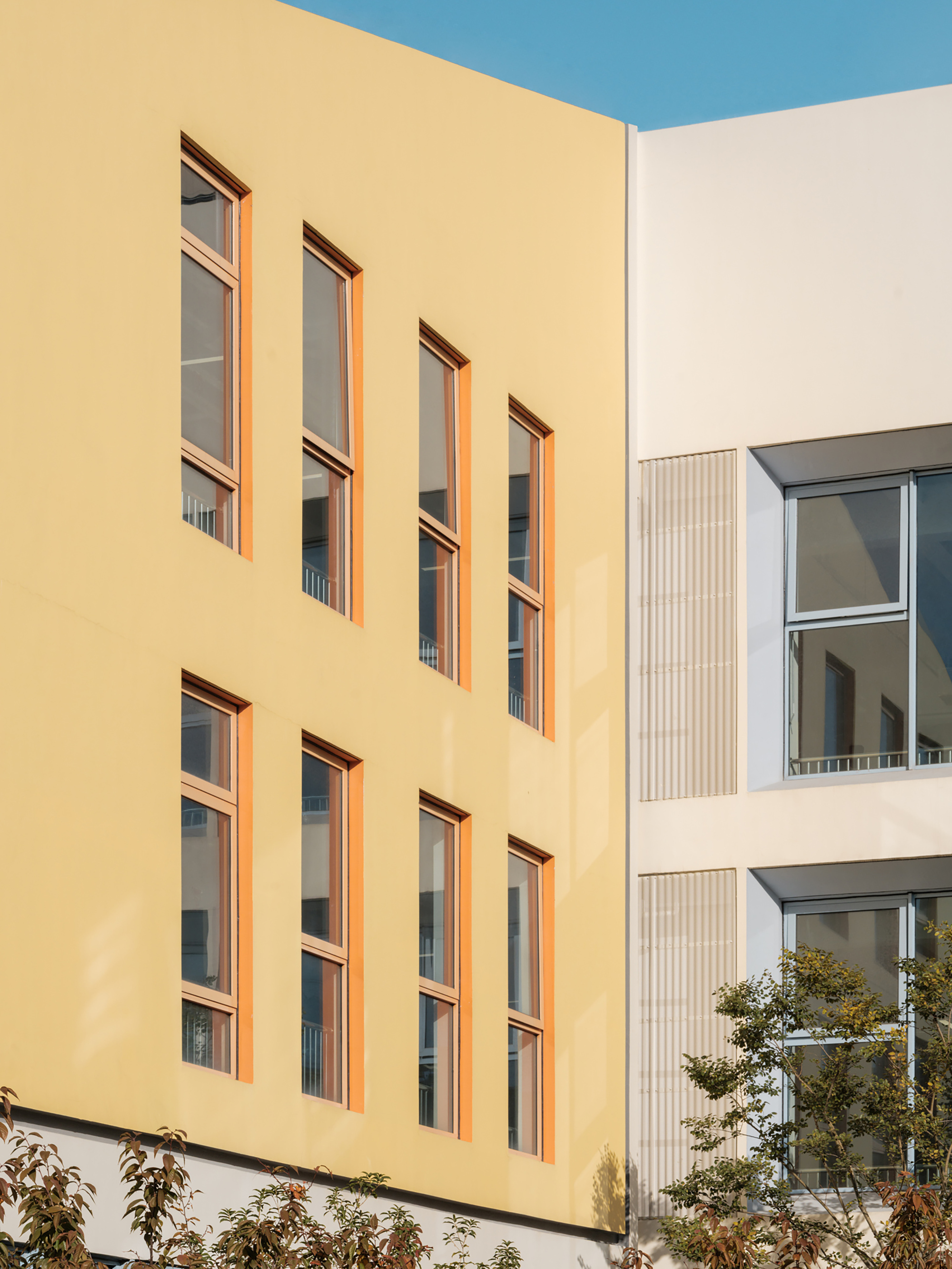 Close-up of the yellow facade with orange-framed windows meeting a white ribbed-panel volume and small tree