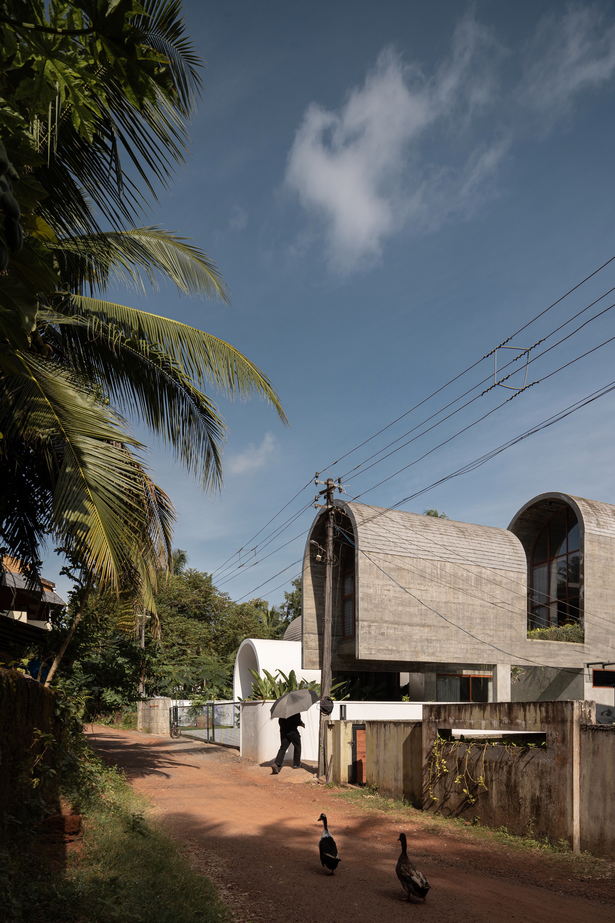 Street view of the curved concrete vaulted roof with palm trees and two ducks in the foreground
