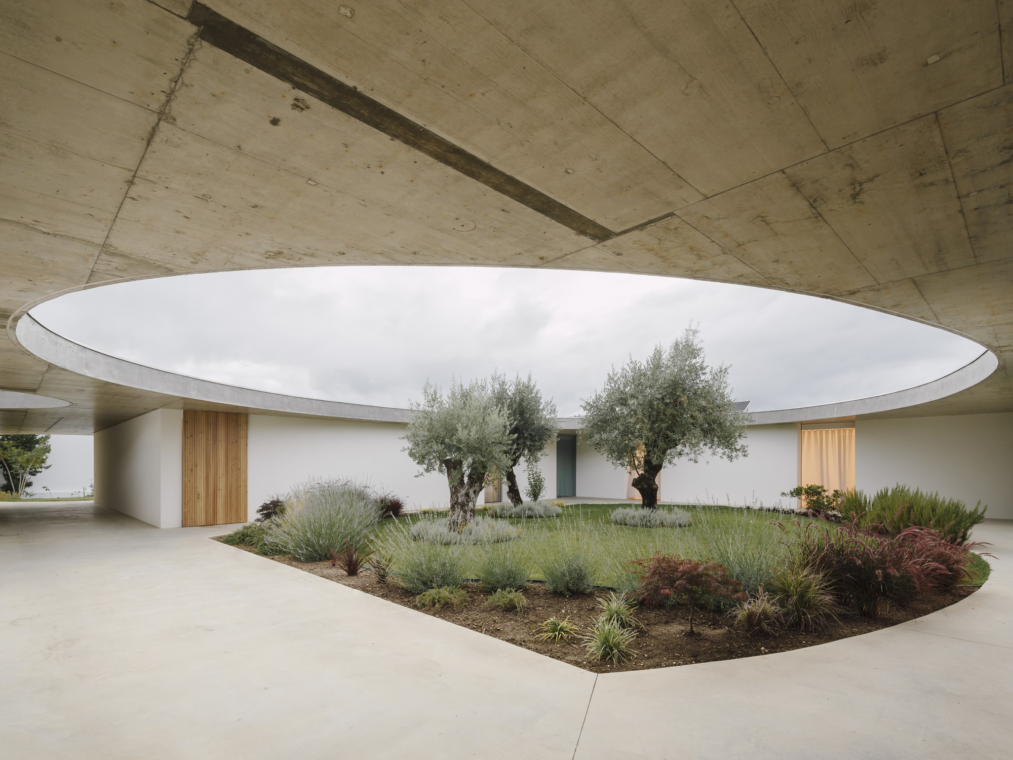 Central courtyard with circular roof opening above olive trees and planted beds with grasses