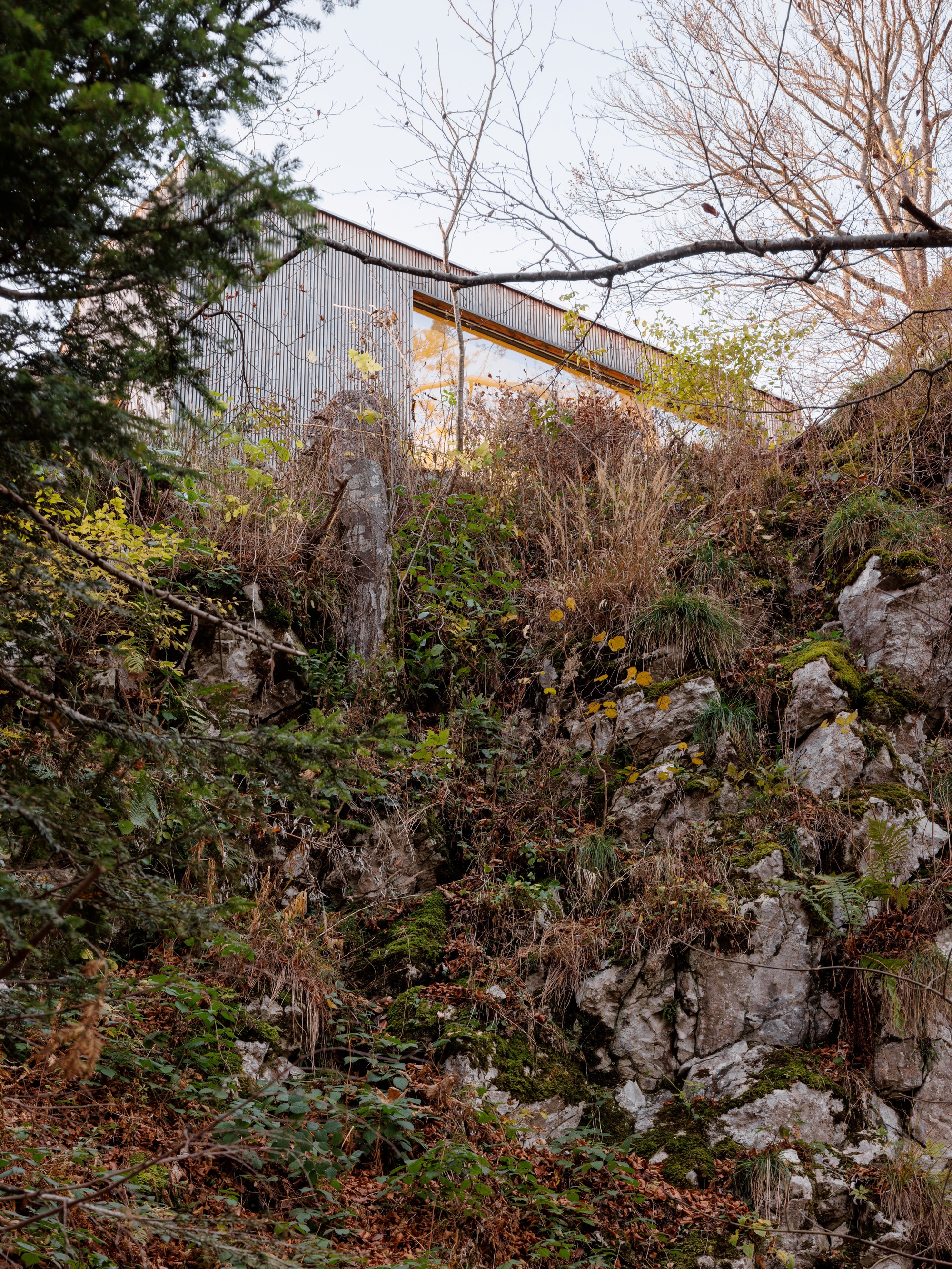 Corrugated metal roof volume emerging above rocky outcrop with evergreens and bare winter trees