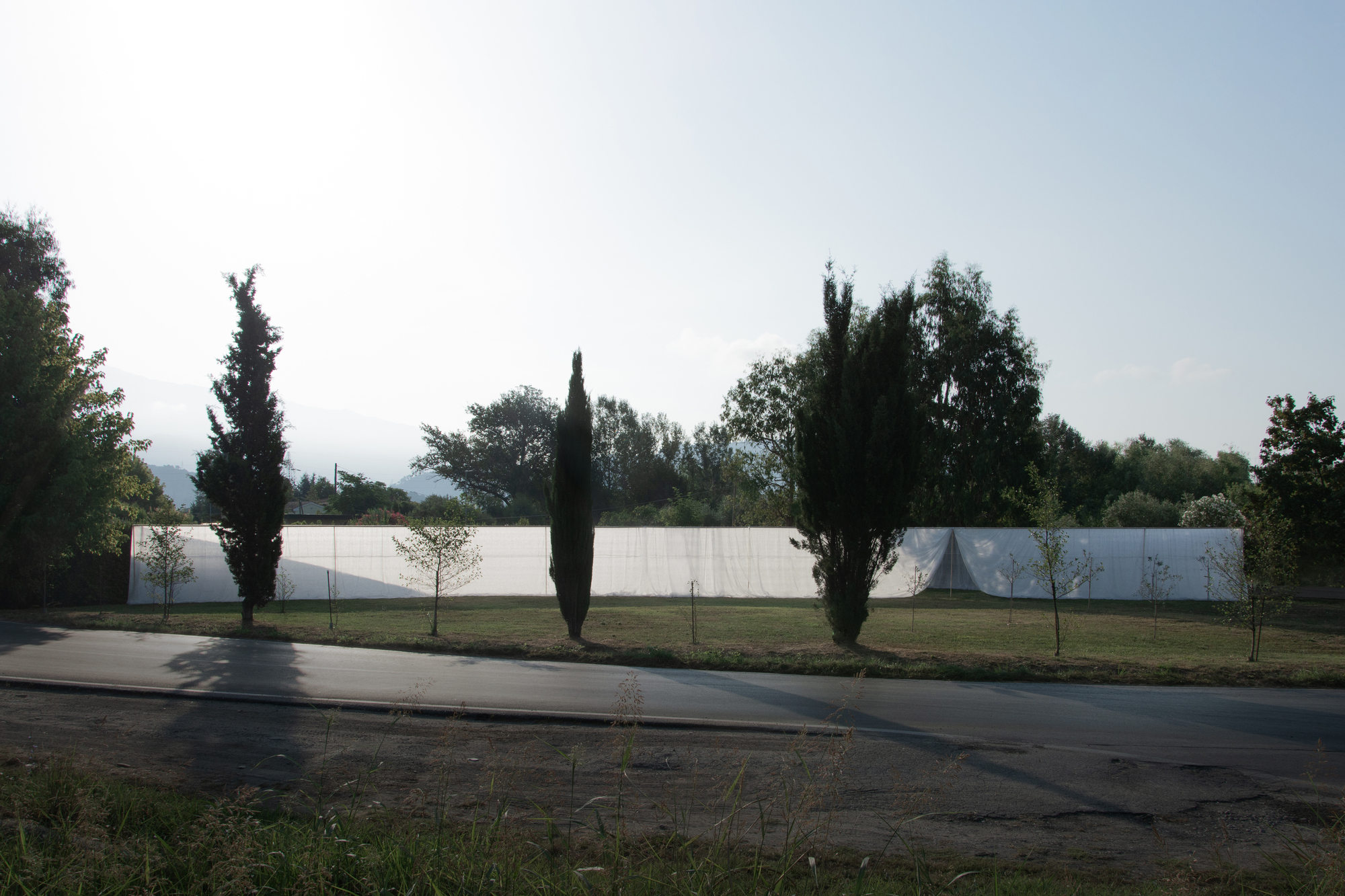 Long white fabric wall stretched across a grass lawn with cypress and deciduous trees