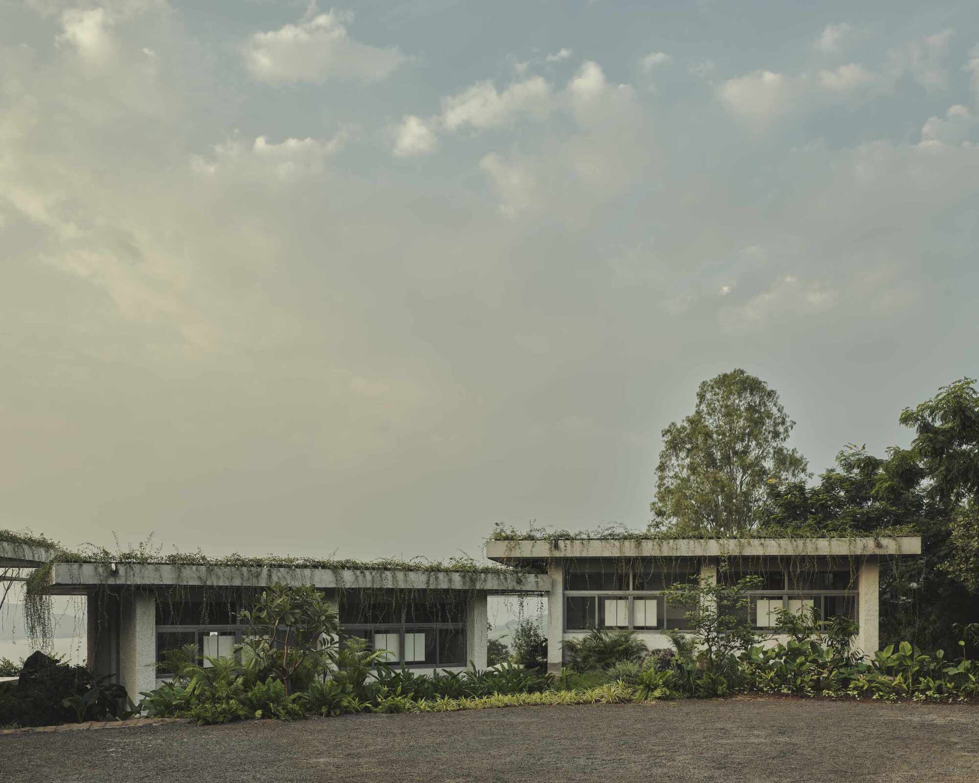 Front elevation showing the planted roof and concrete structure framed by dense surrounding vegetation
