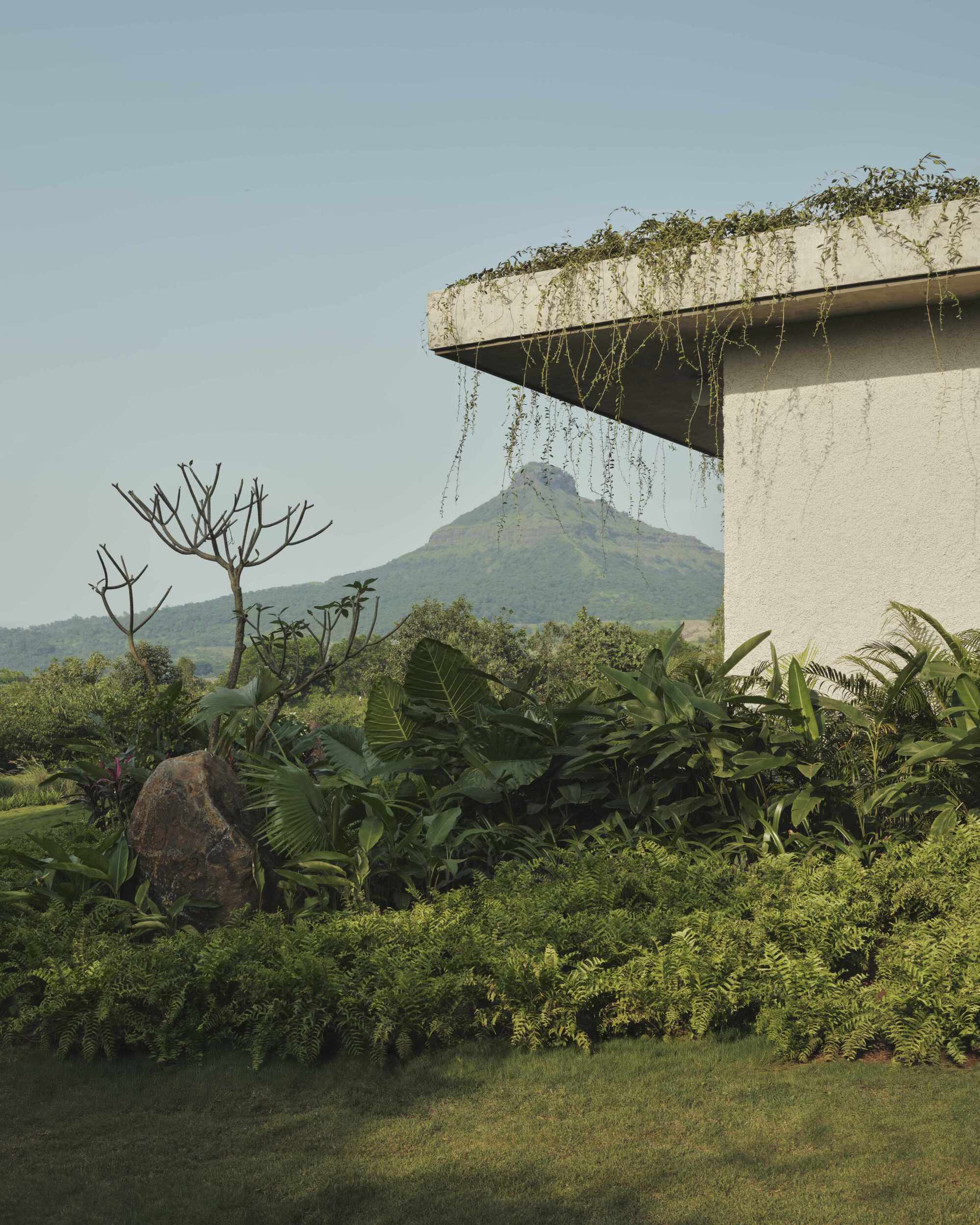 Planted concrete canopy with trailing vines against a mountain backdrop and tropical garden below