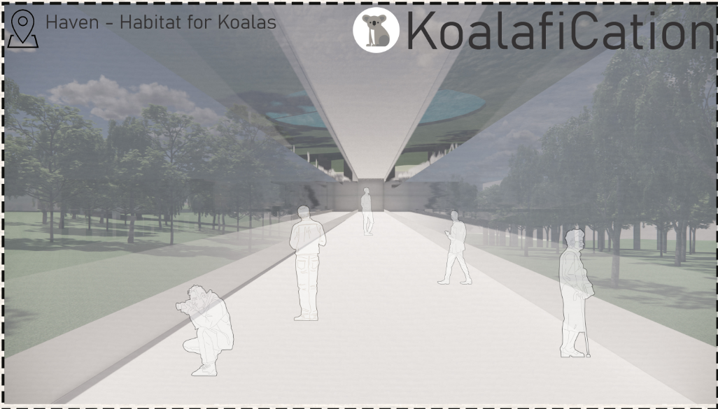 Elevated circulation spine creating a controlled interface between visitors and koala habitat.