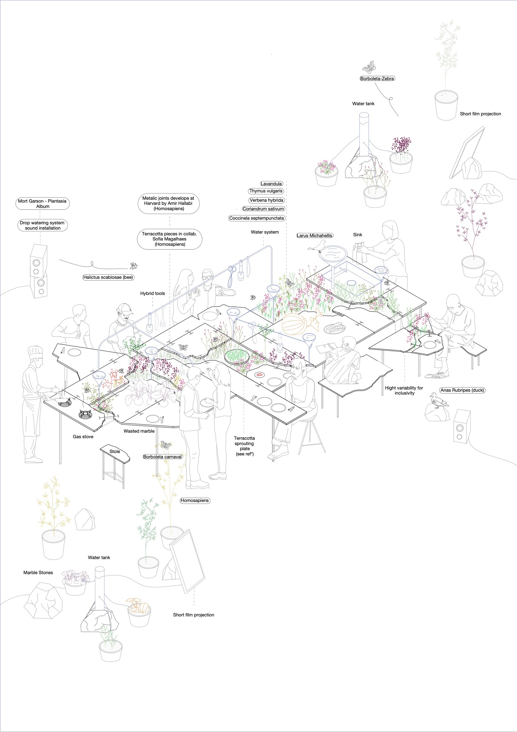 Axonometric drawing showing a communal table landscape with labeled plants, water features, and human figures
