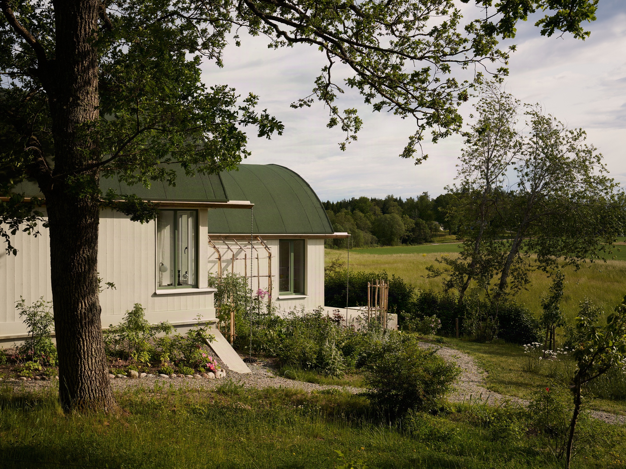 Curving green metal roof above white cladding with planted garden beds in afternoon light
