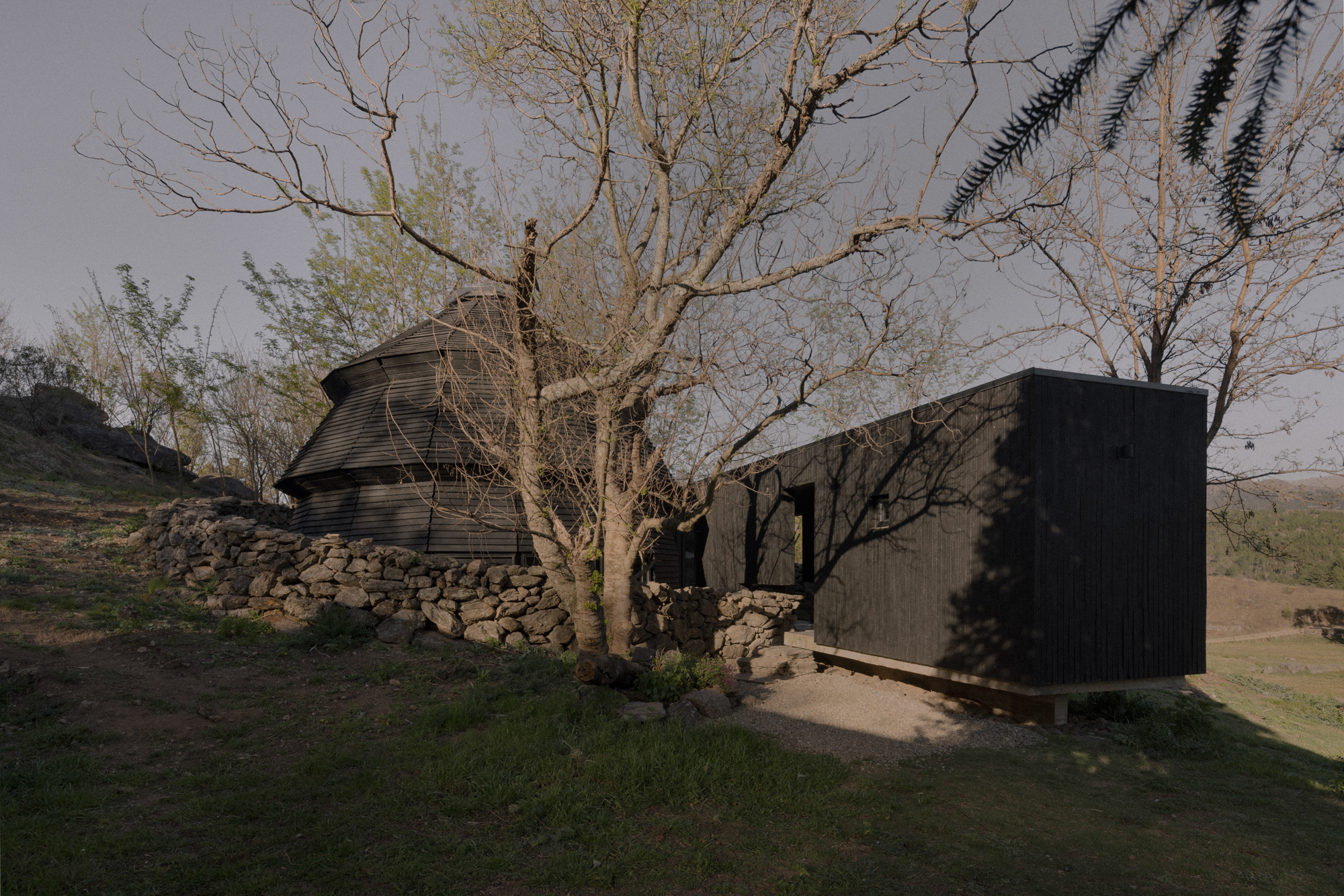 Horizontal black volume and domed pavilion connected by a stone retaining wall beneath leafless trees