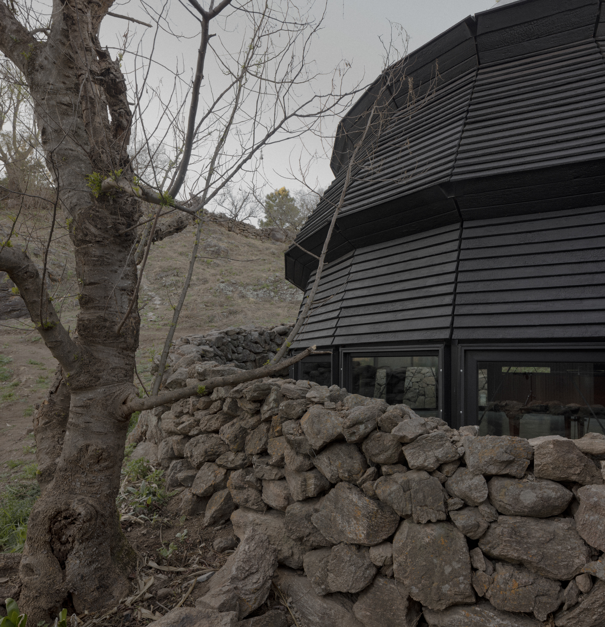 Charred timber cladding meets a dry-stacked stone wall beside a bare tree in late winter
