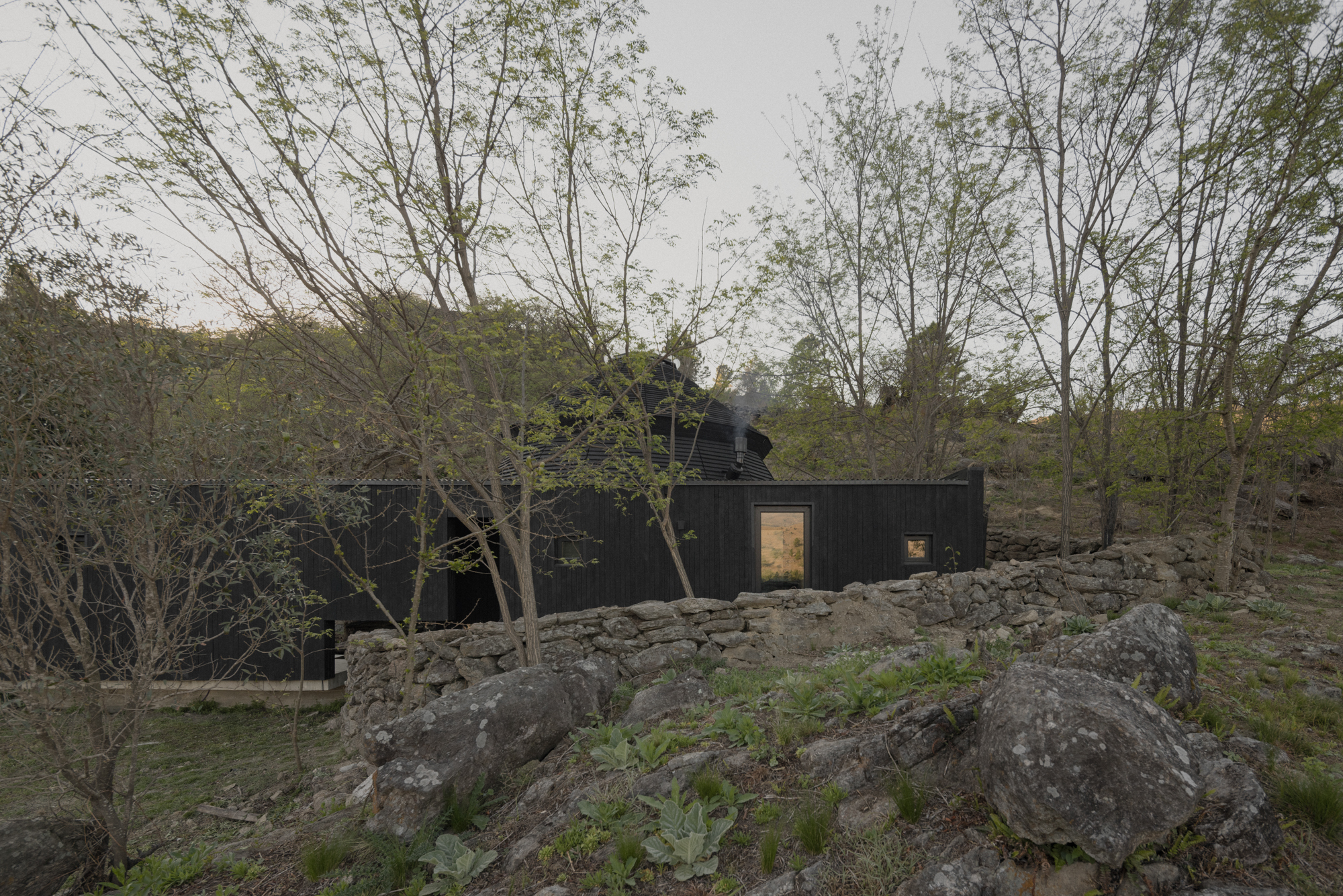Charred timber cladding with window openings behind stone boulders and leafless birch trees at dusk
