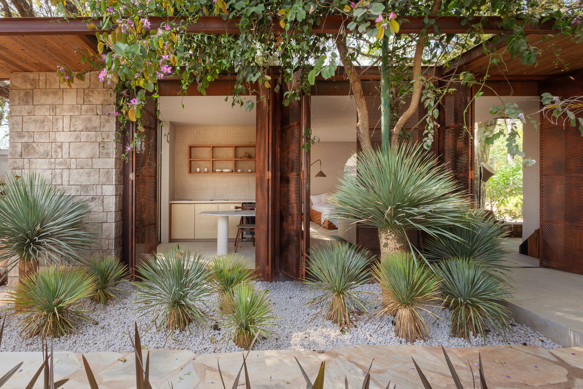Covered entrance with timber pergola, weathered steel columns and planted bed of spiky yuccas in gravel