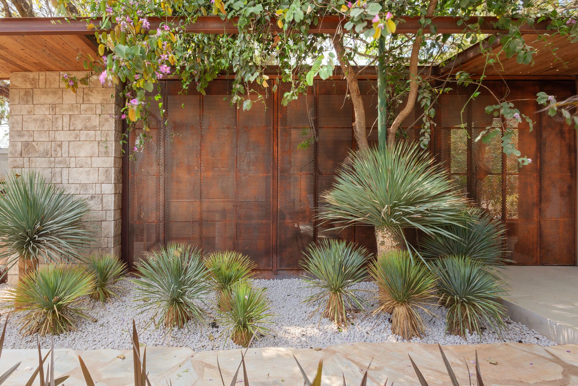 Perforated weathered metal screen wall with overhead timber pergola and planted yuccas in white gravel