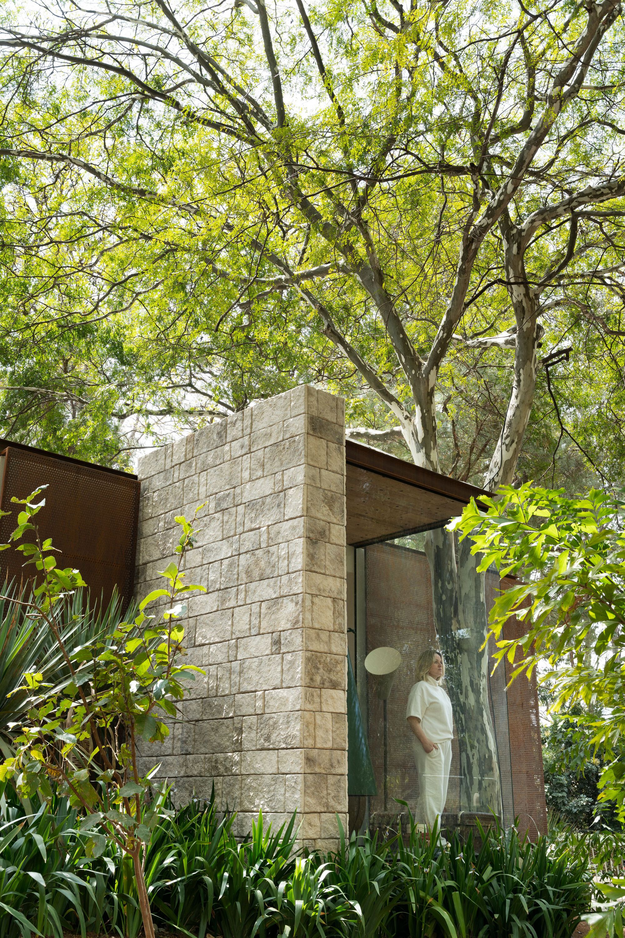 Textured concrete block corner volume with full-height glazing beneath a canopy of deciduous trees