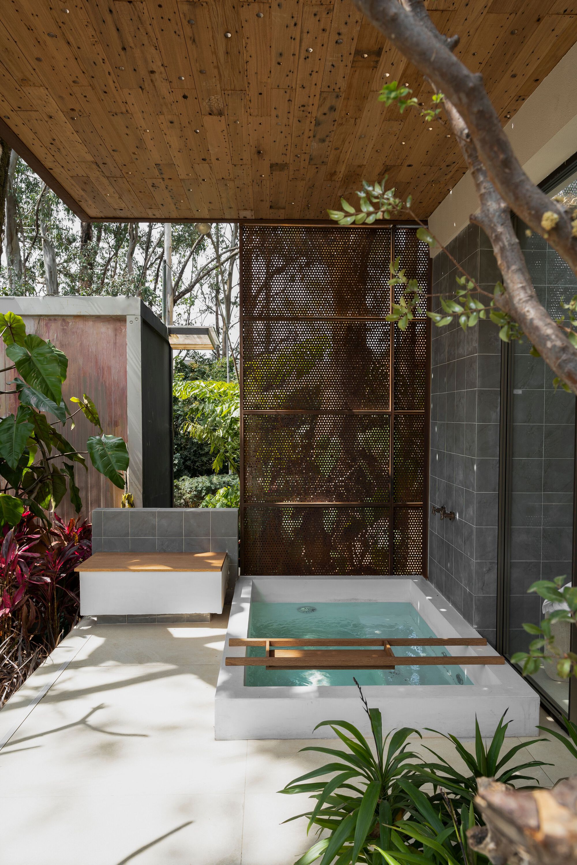Sunken courtyard pool with timber ceiling and perforated bronze screen beneath an overhanging tree branch