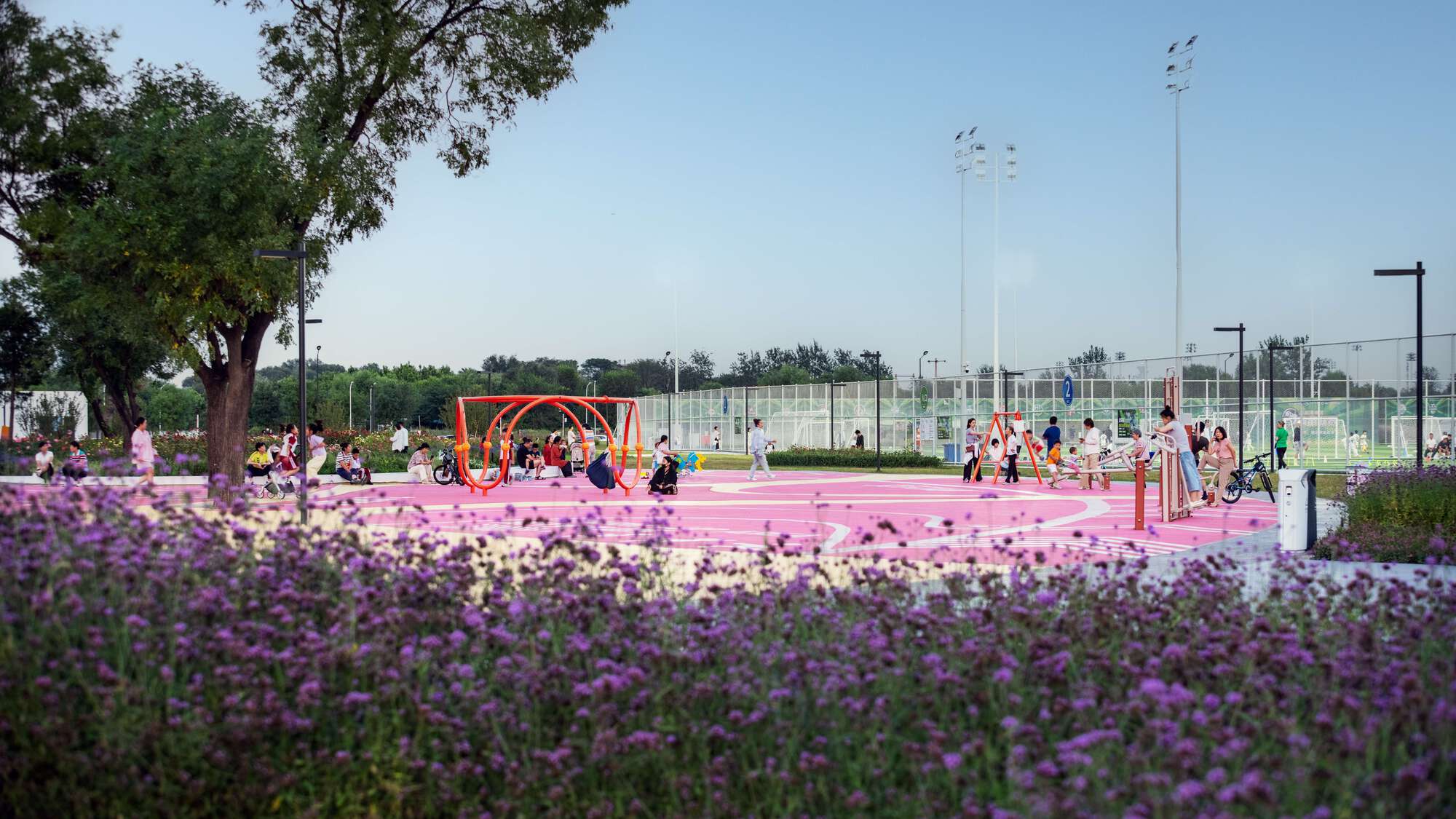 Sports courts and playground equipment framed by masses of purple verbena in the foreground
