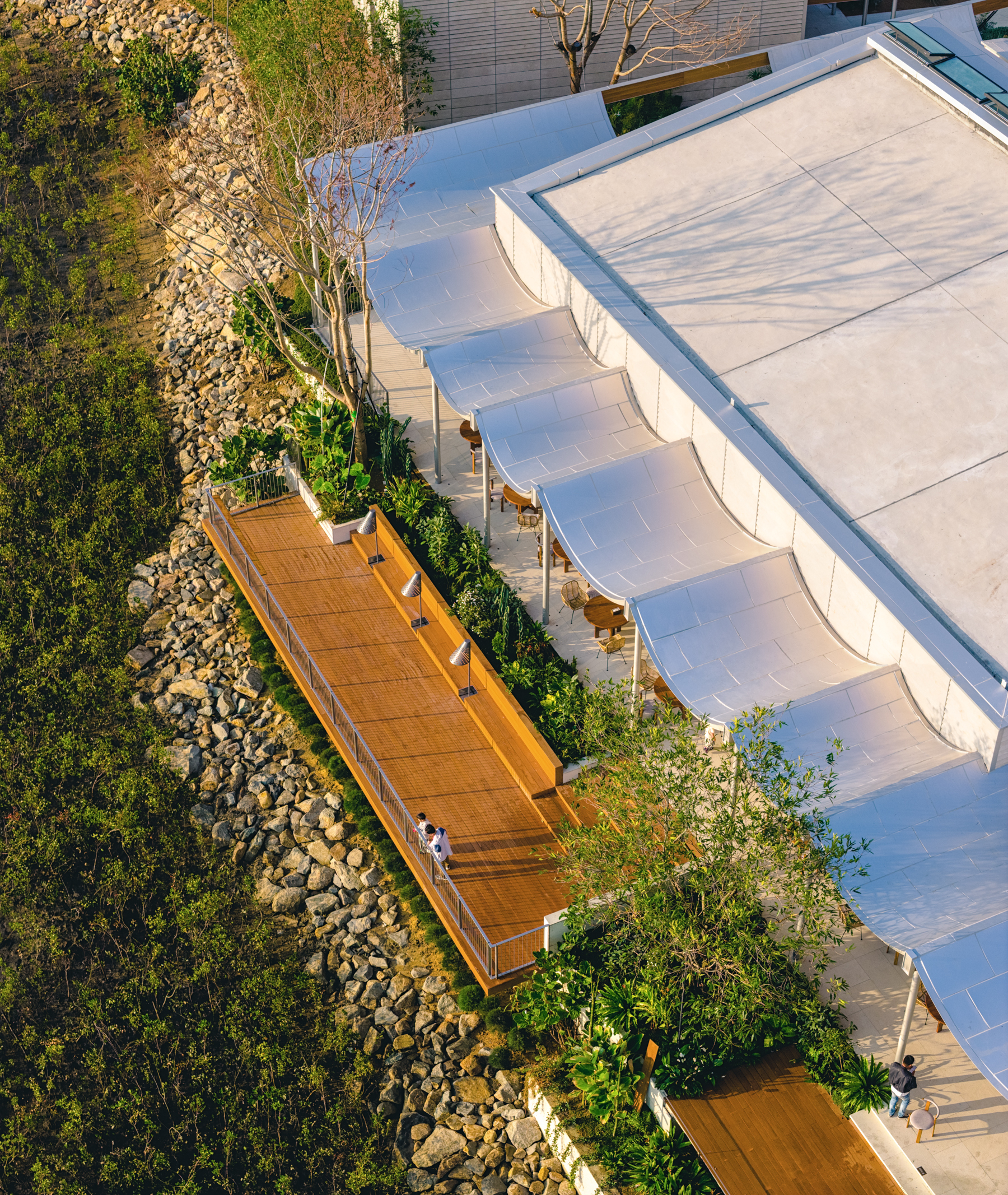Aerial view of timber boardwalk weaving through planted beds beside scalloped white canopy structure