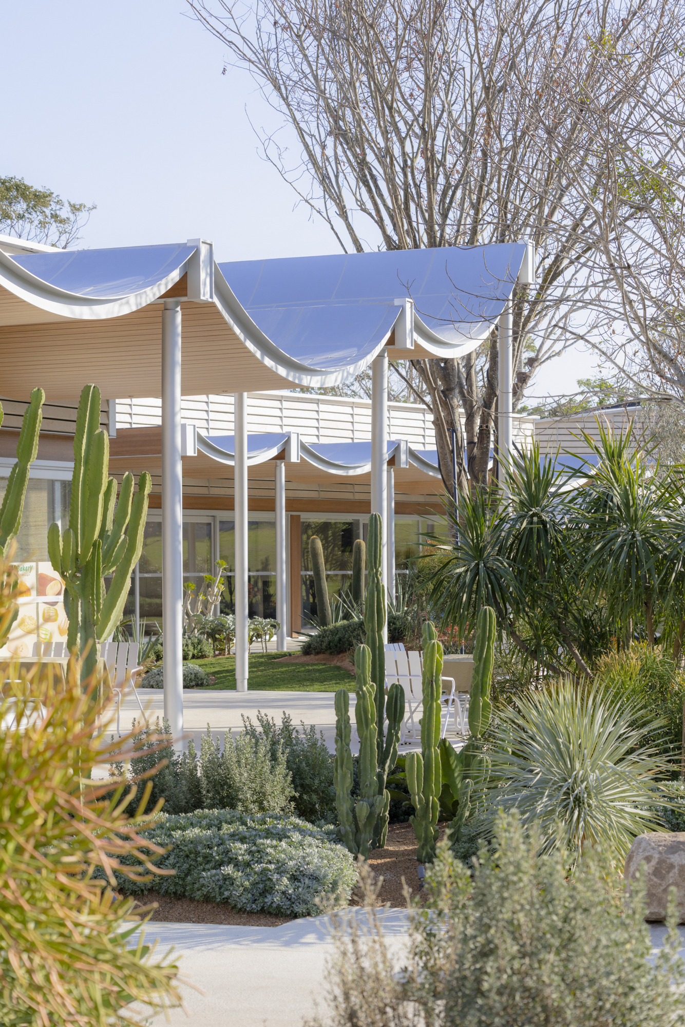 Low pavilion with draped fabric canopy viewed through foreground plantings of cacti and succulents