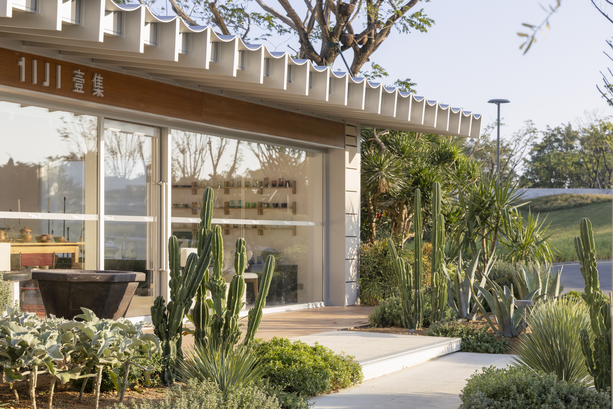Glass storefront with horizontal louvered canopy framed by tall cacti and low mounding plants