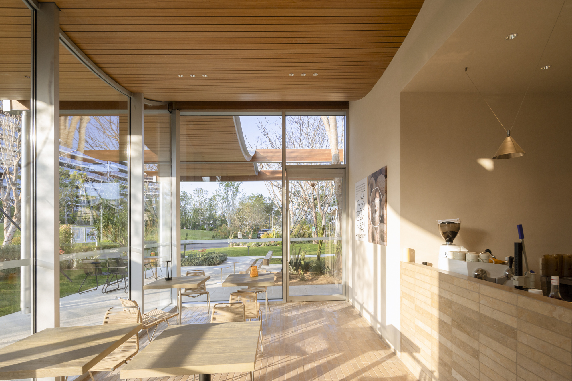 Interior dining space with slatted timber ceiling and floor-to-ceiling glazing overlooking parkland in afternoon sun