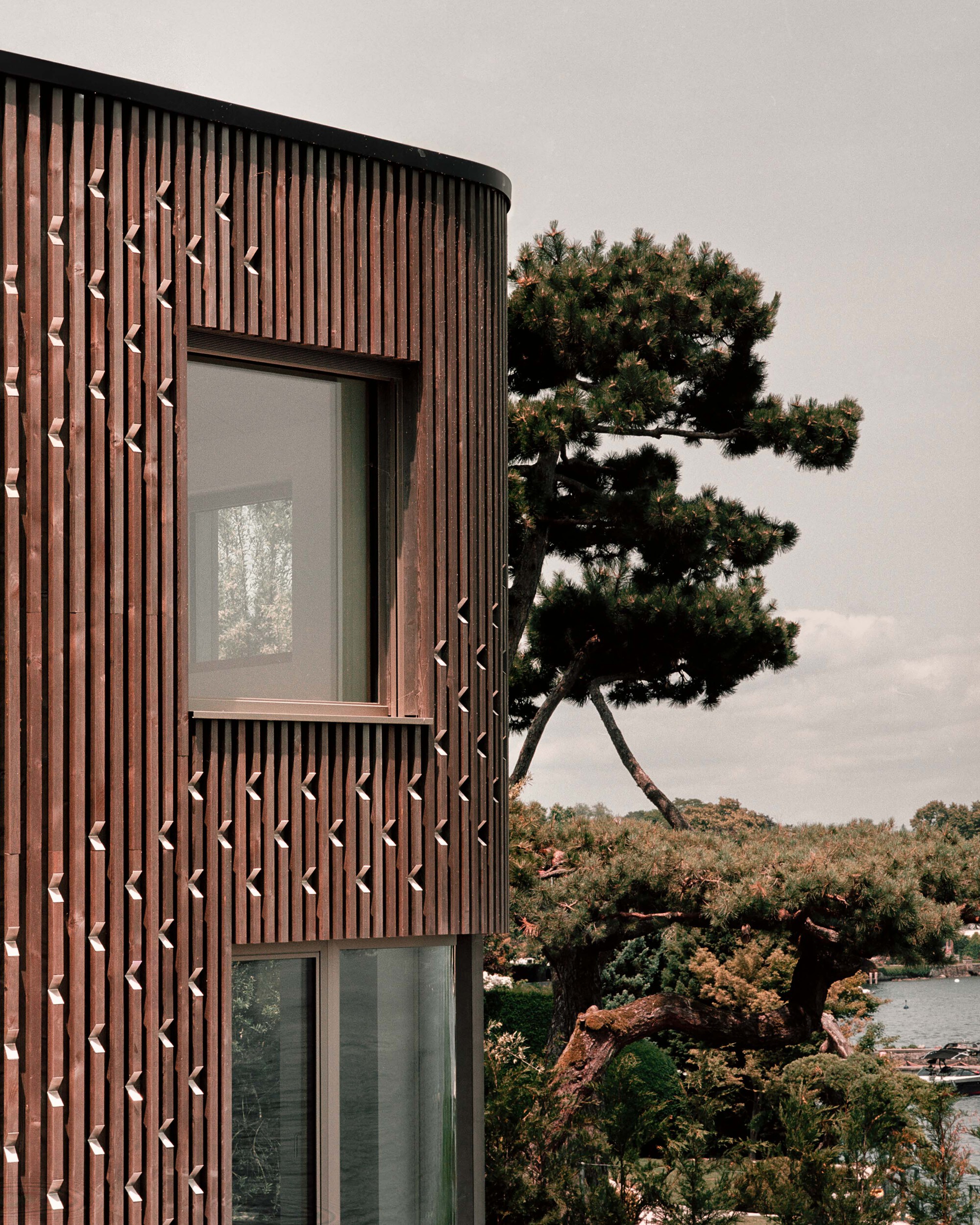 Vertical timber slat cladding with geometric perforations beside a windswept pine tree