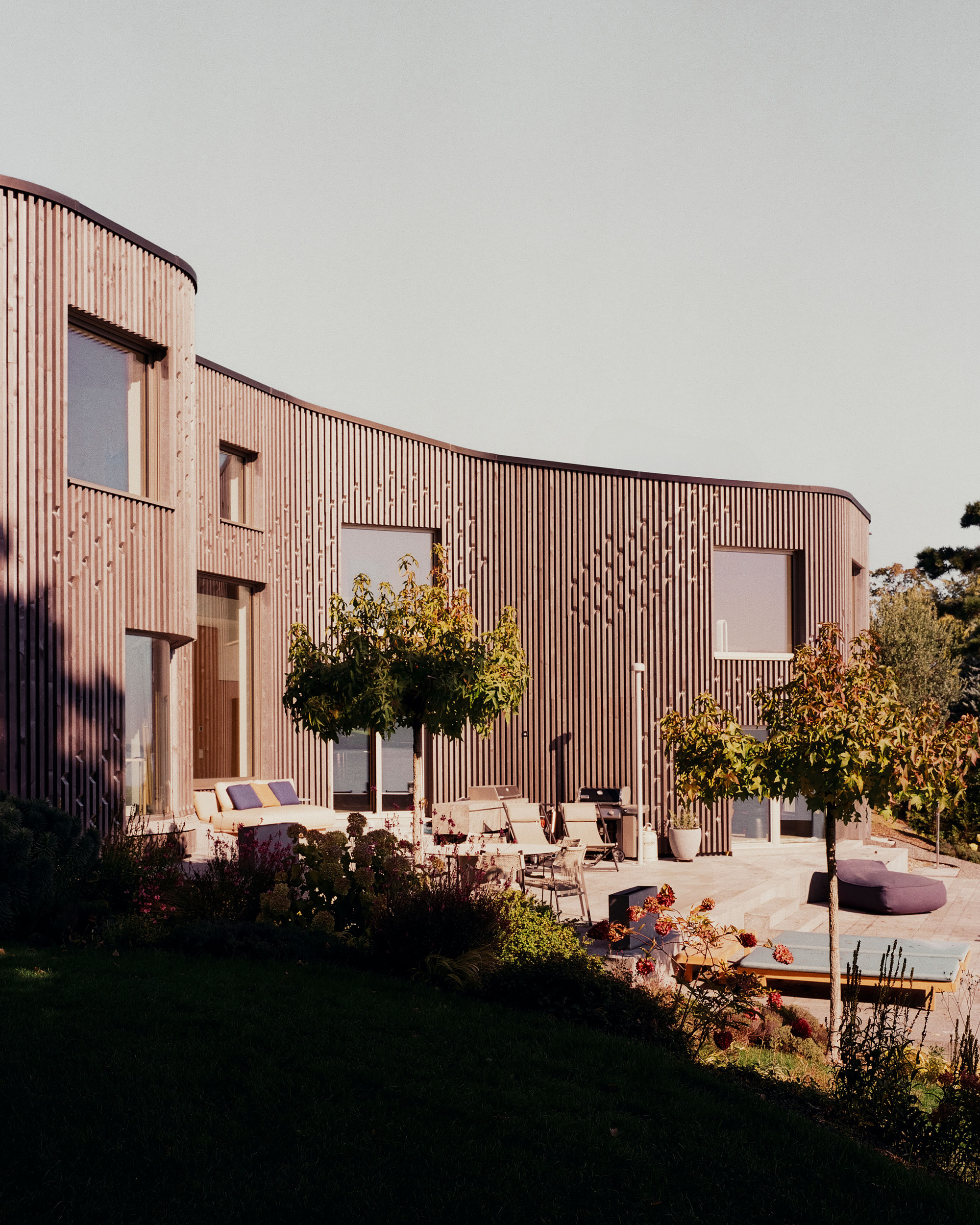 Courtyard terrace with outdoor furniture and planted beds against the curved timber facade