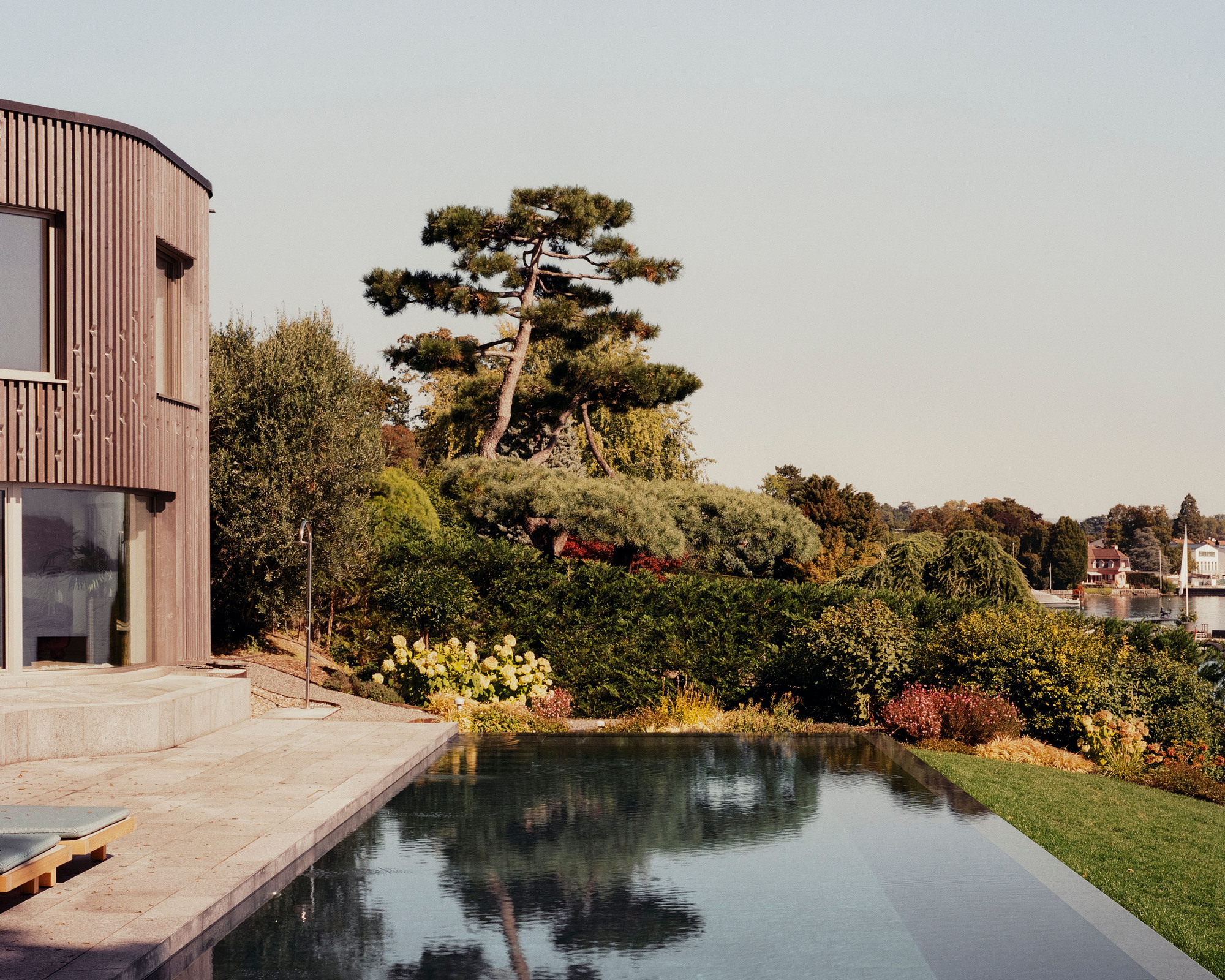 Infinity pool beside a timber-clad volume with a mature pine tree on the landscaped slope
