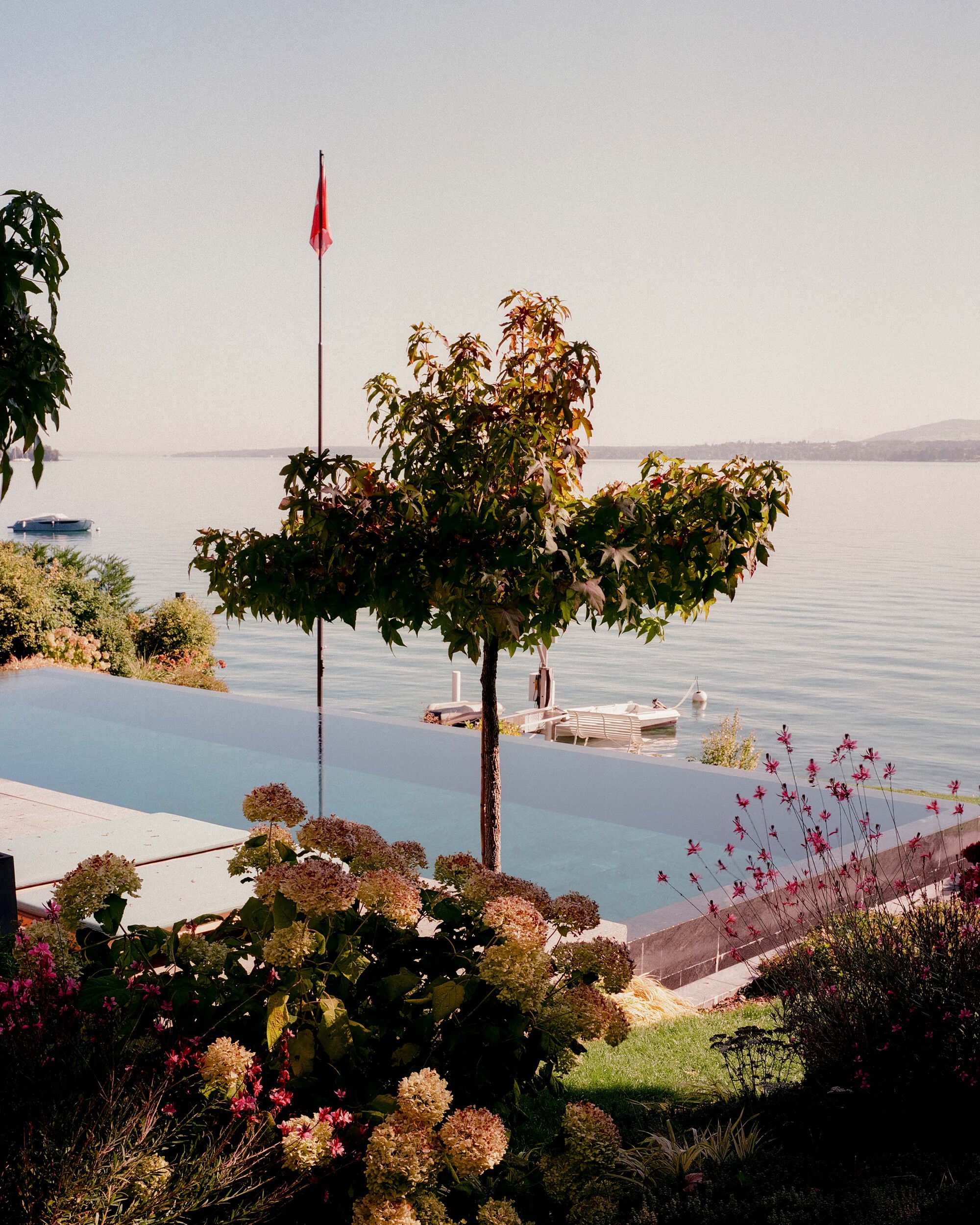 Infinity pool edge with flowering shrubs and ornamental trees overlooking a calm lake at dusk