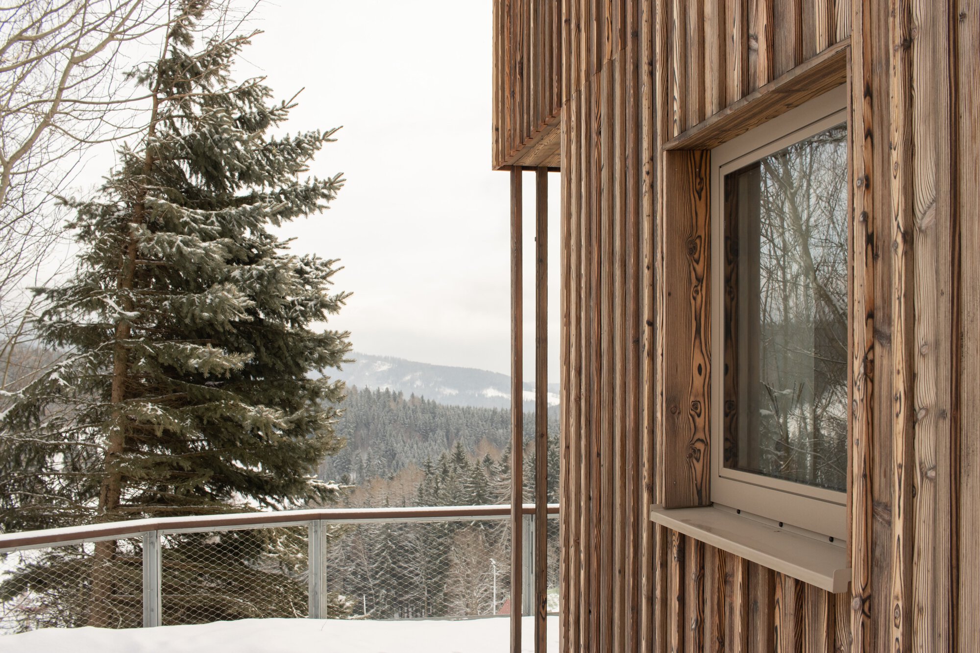 Exterior corner showing vertical timber cladding, window frame detail, and wire mesh railing with pine trees