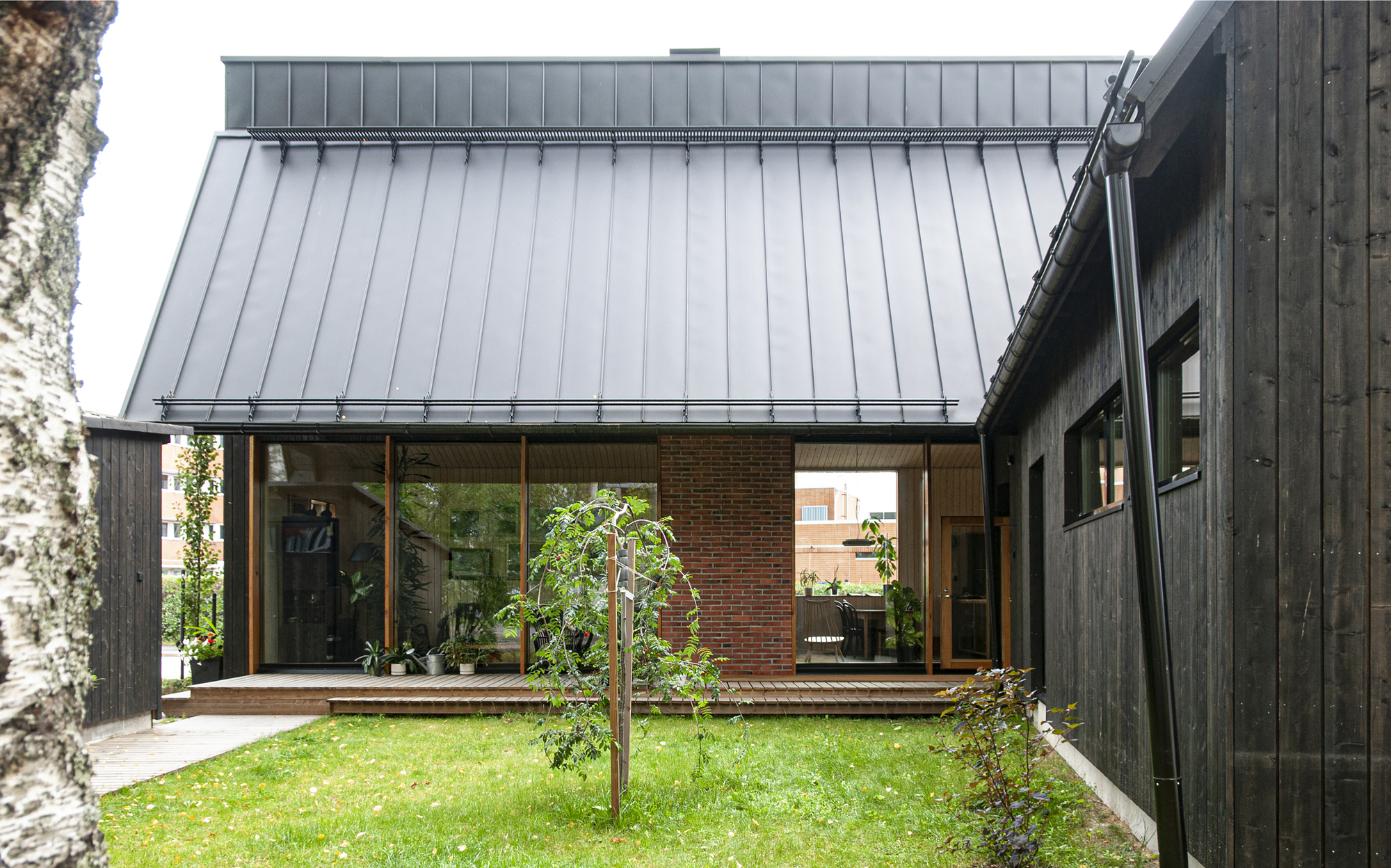 Courtyard view showing charred timber cladding, standing seam metal roof, and young tree in lawn
