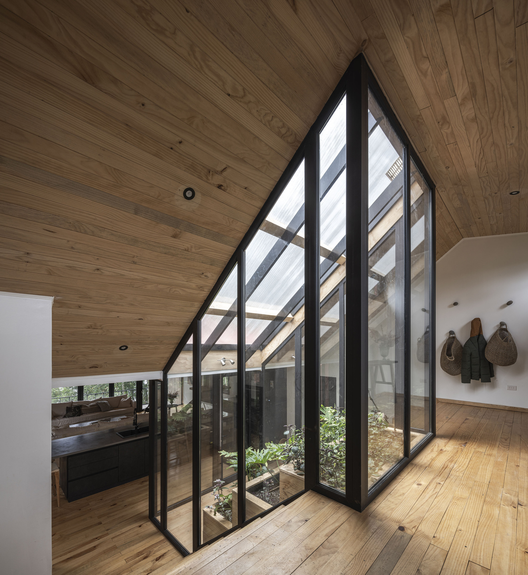 Interior atrium with sloped timber ceiling and tall glazed wall framing a planted courtyard