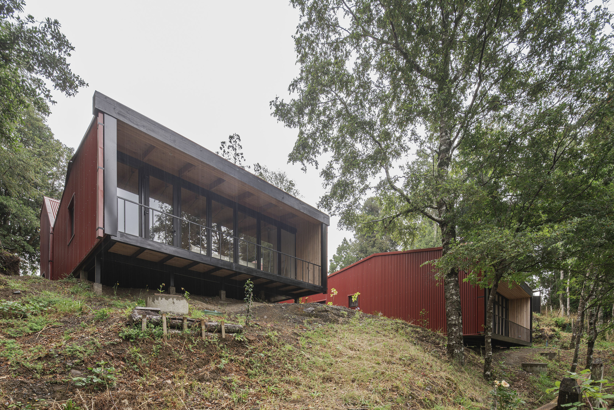 Red corrugated metal volumes elevated on stilts among native trees on a sloping forest site
