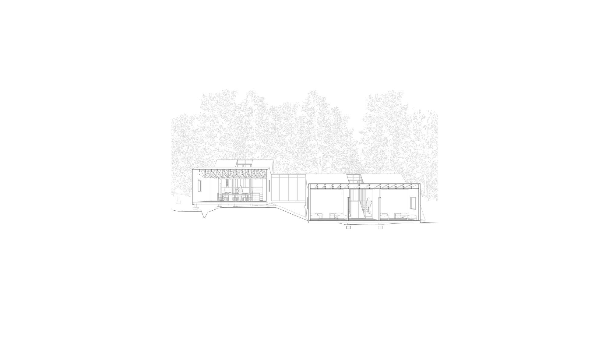 Elevation drawing showing interconnected volumes with flat and angled roofs against a backdrop of trees
