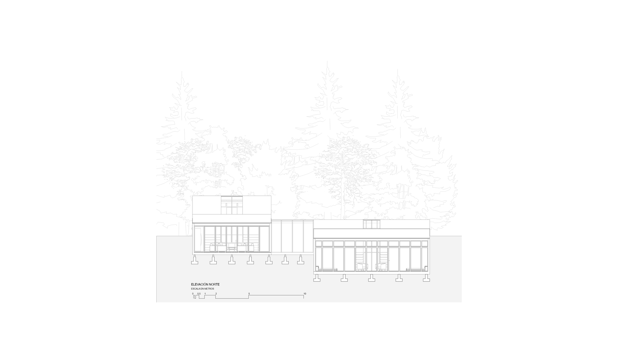Elevation drawing showing two offset volumes on piers with surrounding coniferous trees